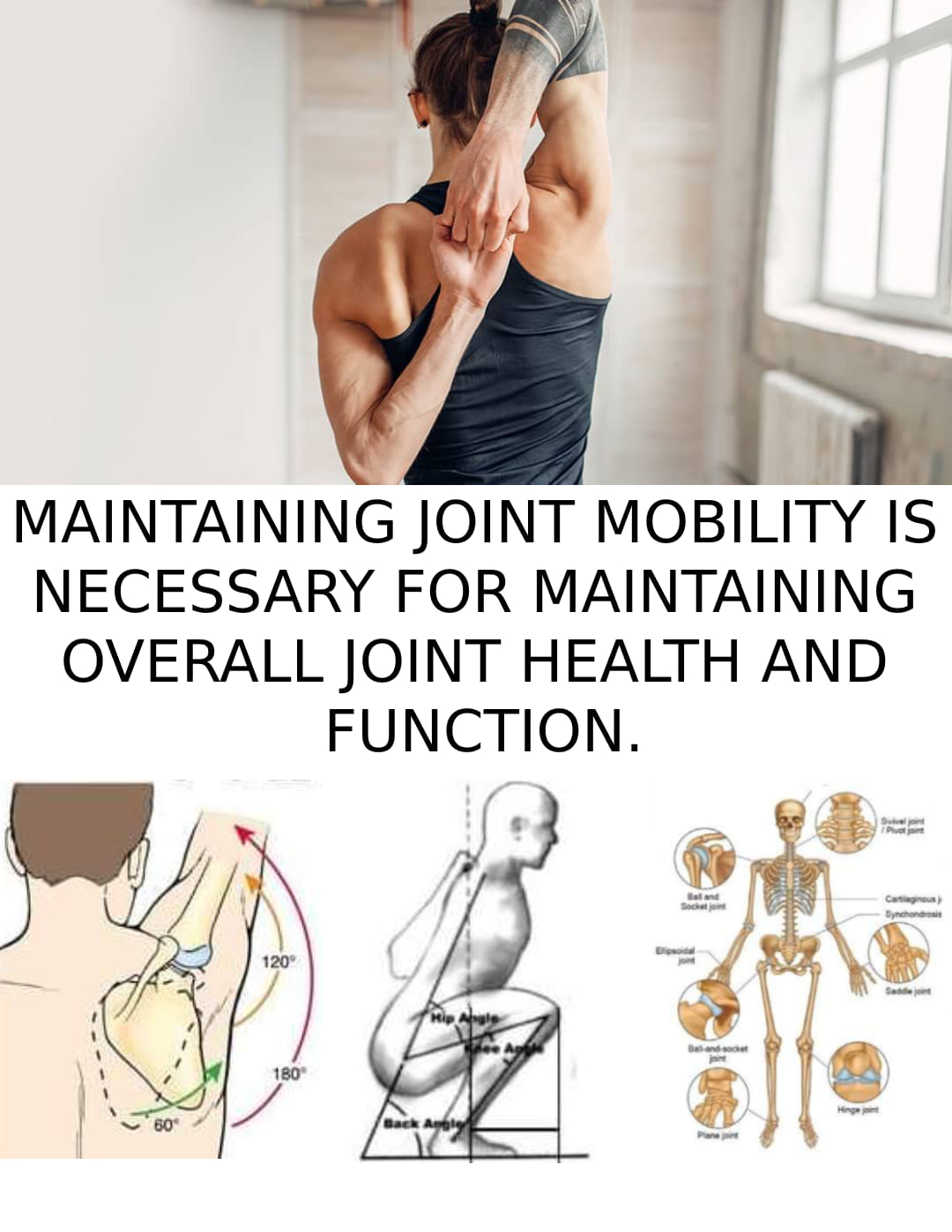 PhysioPoint.ie - 💥 Joint mobility goes hand in hand with joint health ...