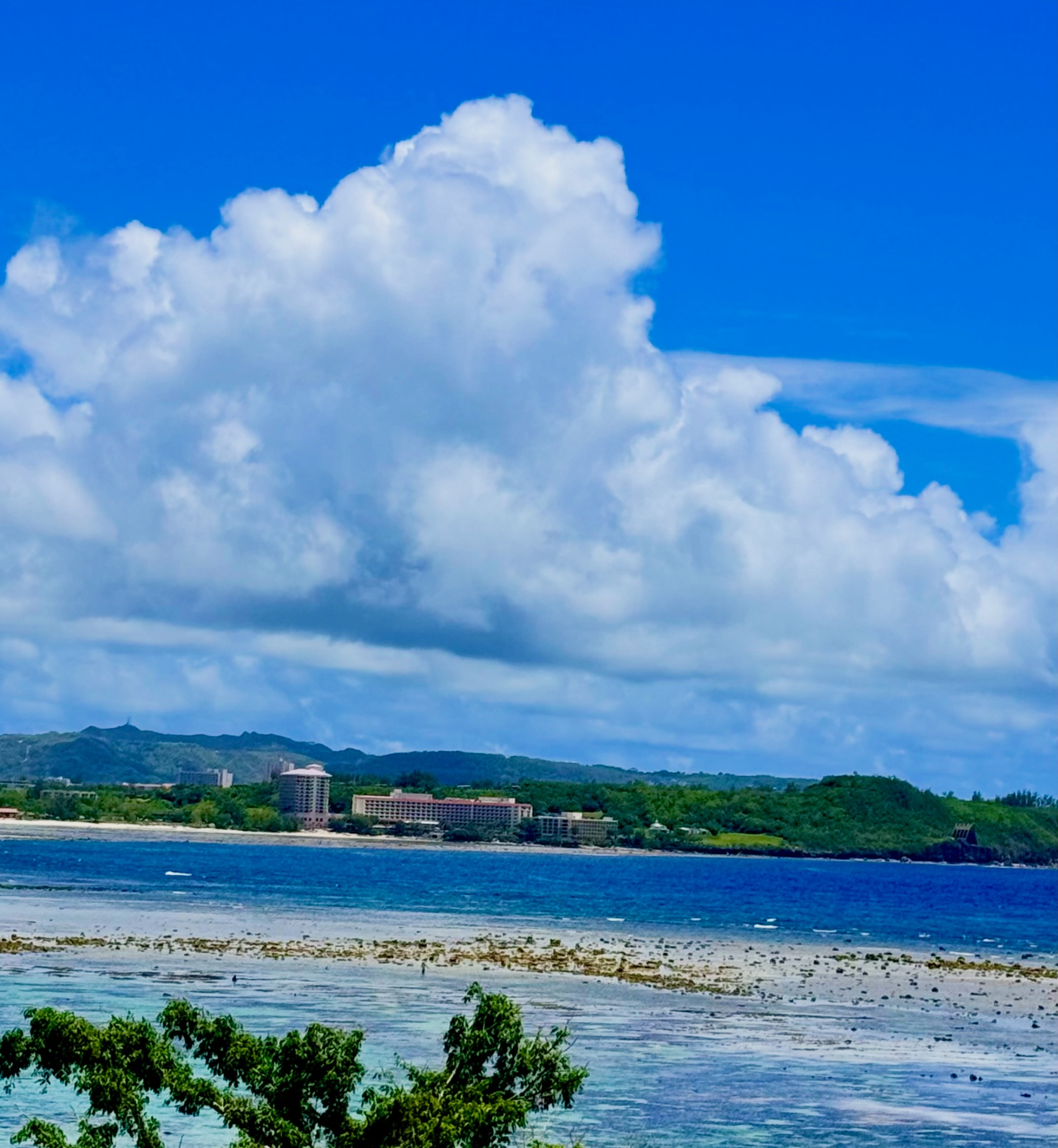 楽園グアム.com | Tamuning Guam