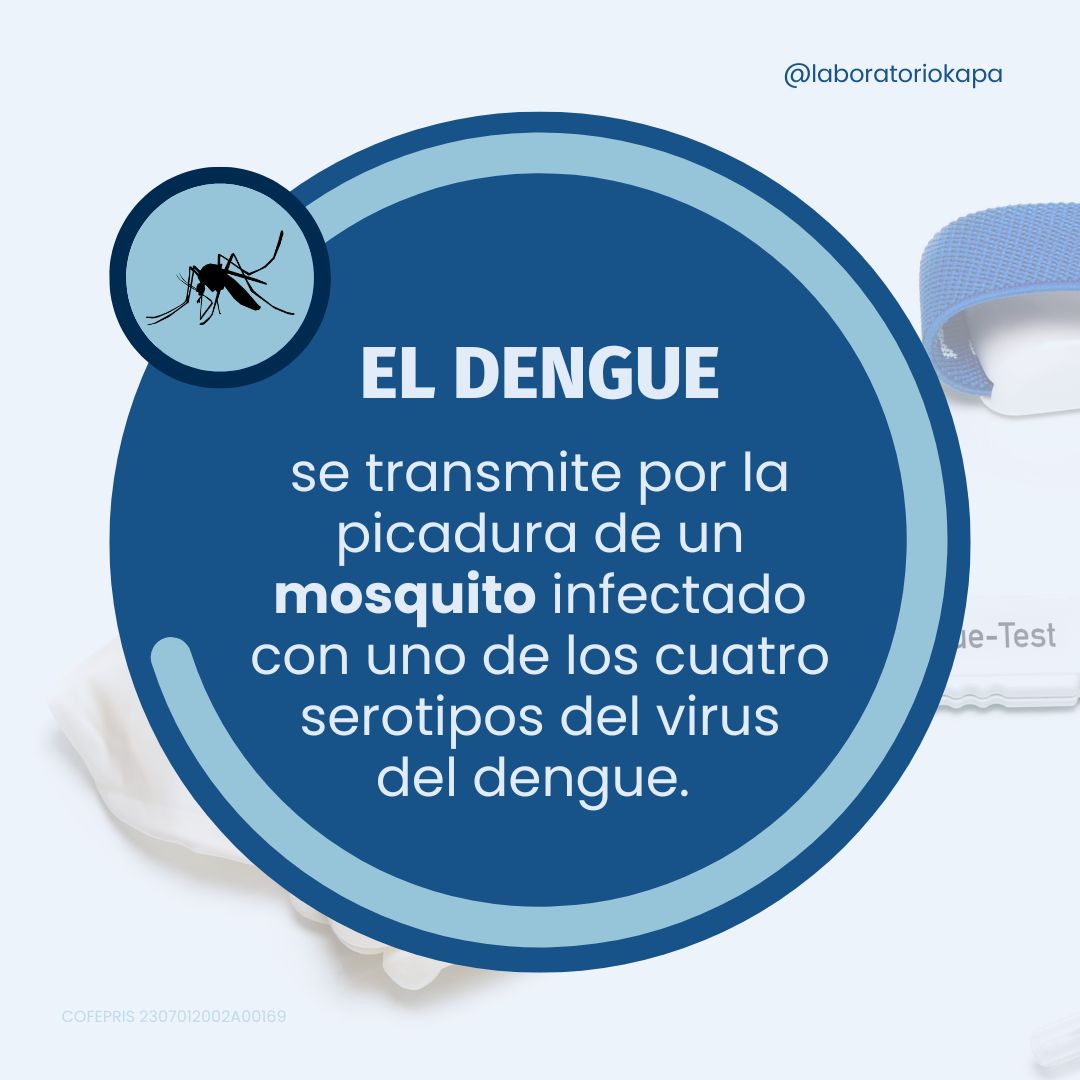 El dengue se transmite a través de una... - Laboratorio KAPA