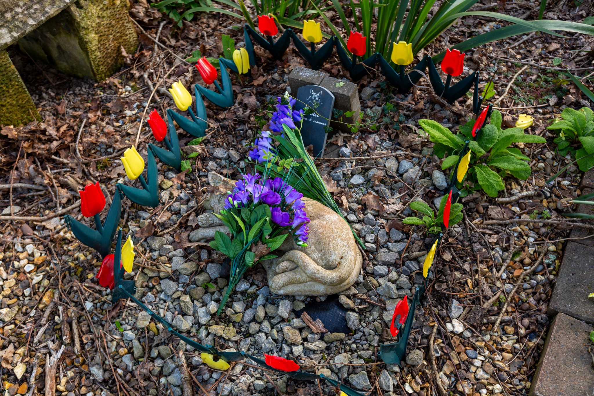 Bluebell - 🛠️ DIY Pet Memorial Projects 🛠️ Creating a DIY memorial for ...