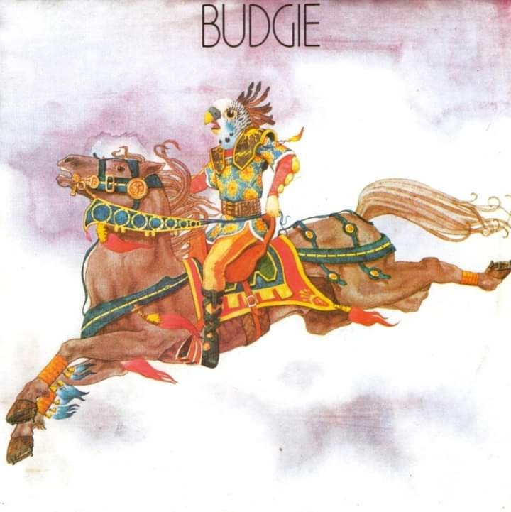 BUDGIE - 