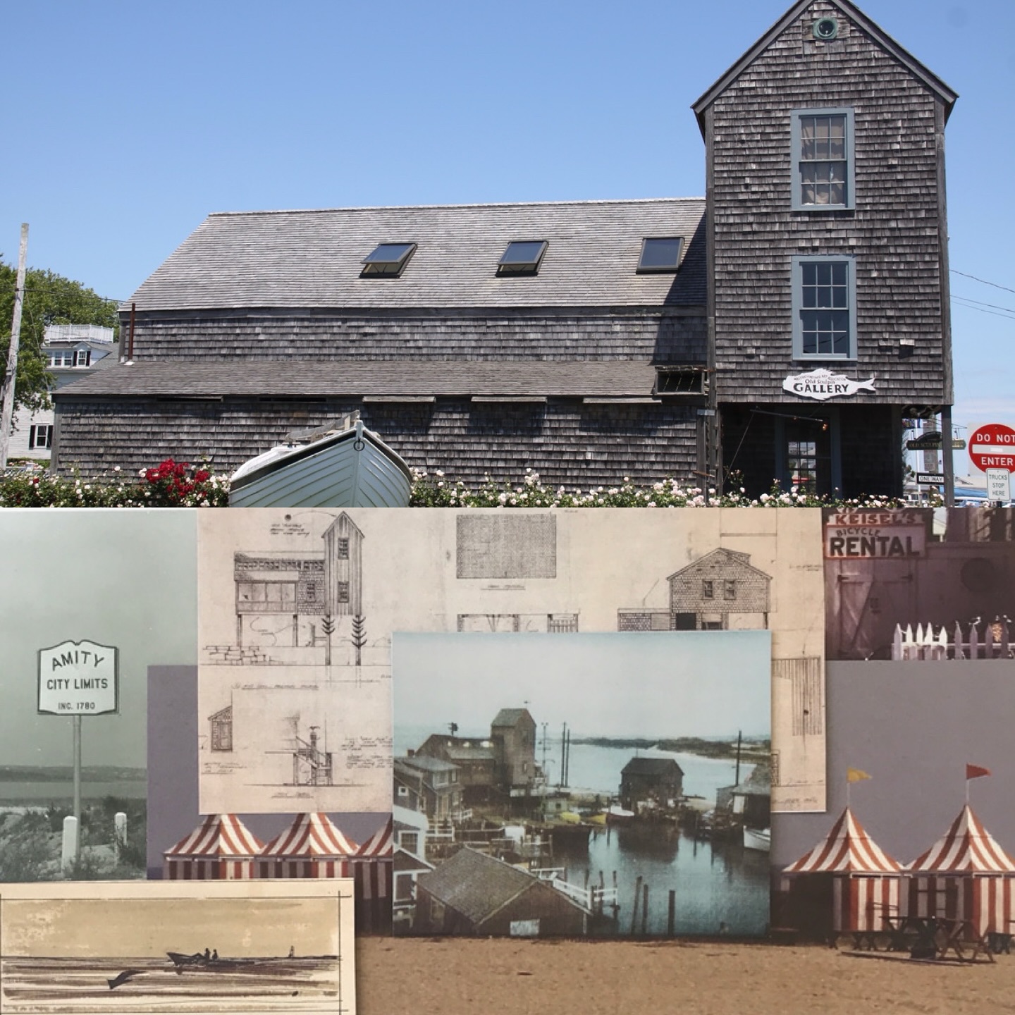 Vineyard - Celebrating two iconic anniversaries this year: the 50th ...