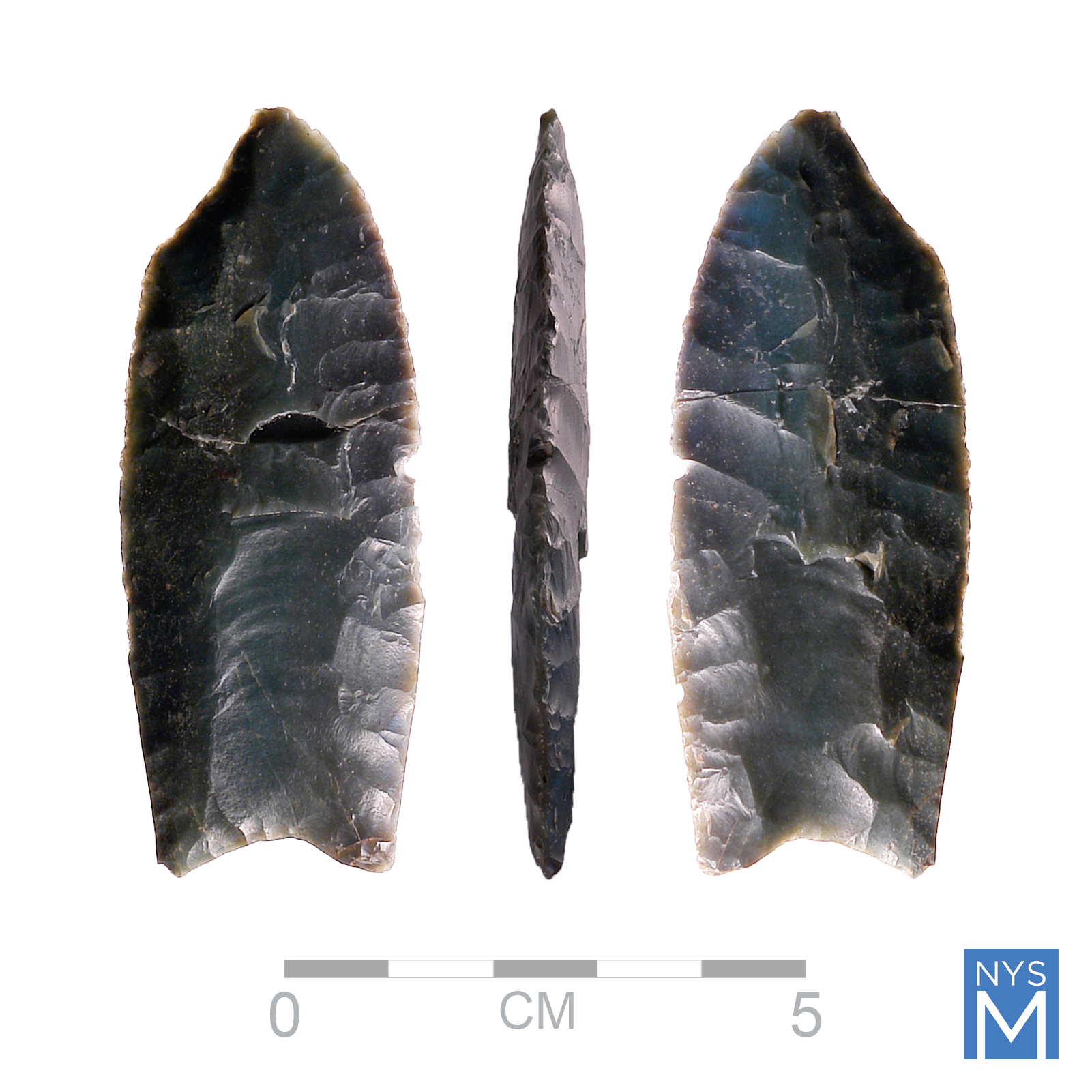ScienceTuesday: A Point in Time—Clues to the First Peoples of Ice  display picture 1