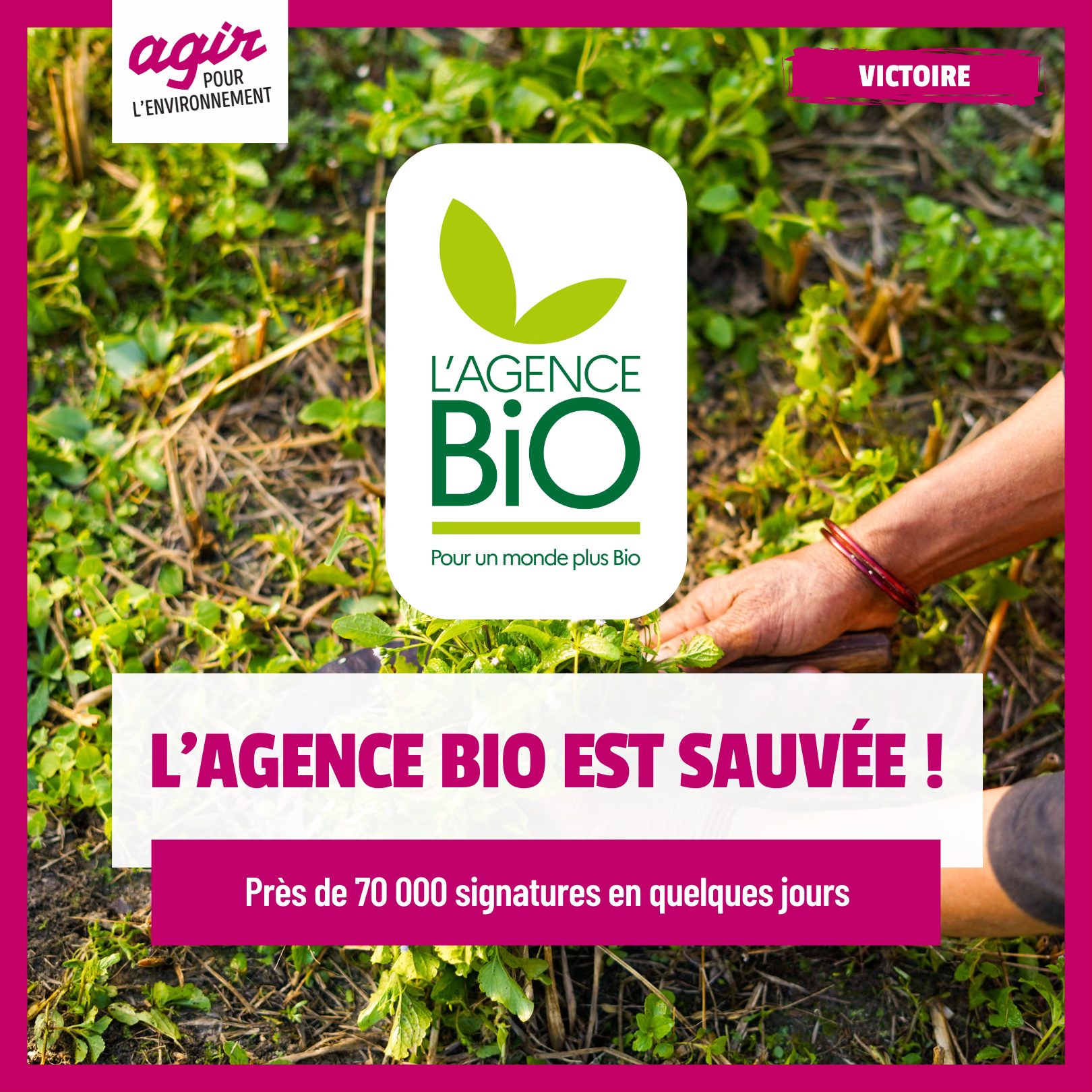 RECYCLING-BIO.oi