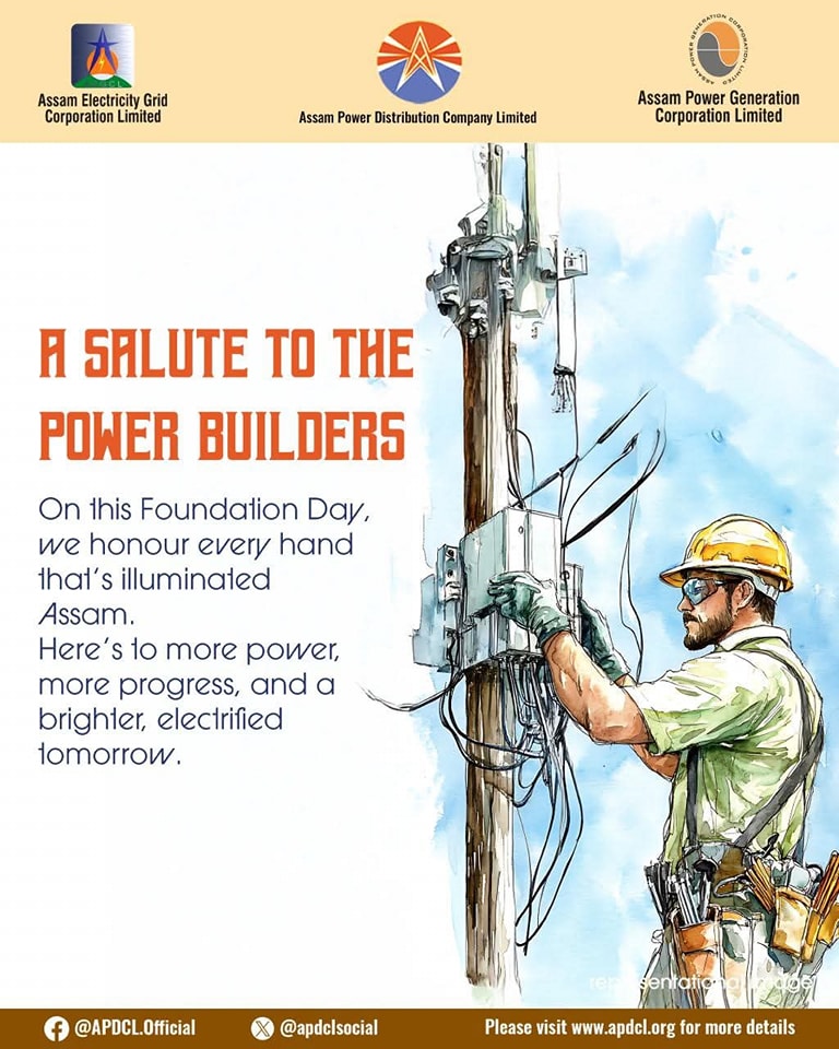 Mirza Electrical Sub-Division, APDCL | Mirza