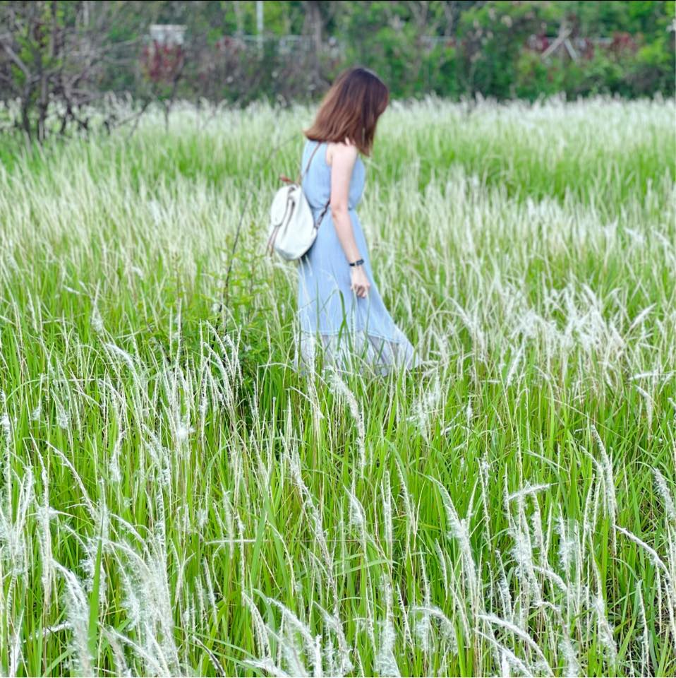 【我們是Ga Gi Nang😎】 潮式·自己人 荃新天地 @citywalkhk 最近新開潮州菜「自己人 GAGINANG」，有別平時食傳統打 ...