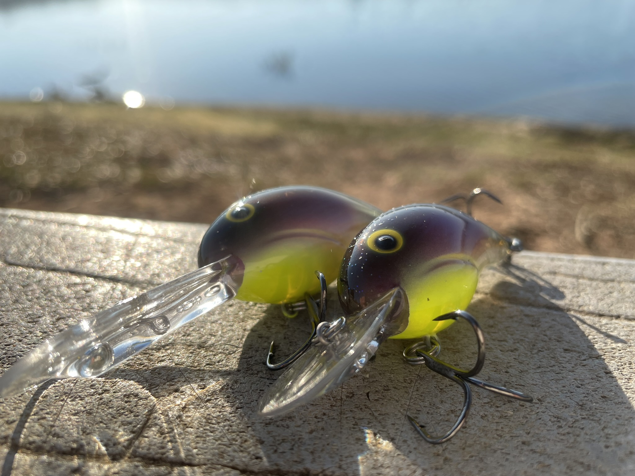 bandit lure baby bass LURES Series 300 Crankbait Fishing Lures, Fisghing Accessories, Dives to 12-feet Deep, 2', 1/4 oz, Blue Splatterback, (BDT343B) : Artificial Fishing Bait : Sports & Outdoors the Bandit Lures 200 Series has a medium Northern Lights is one of