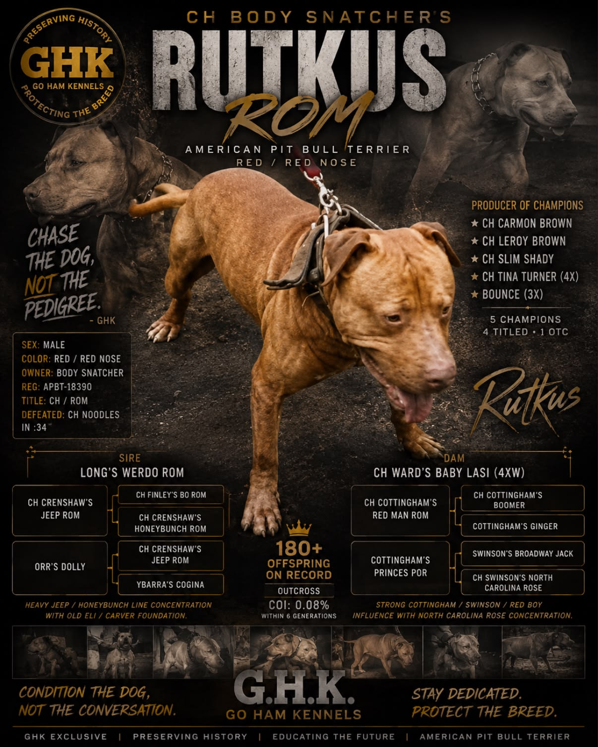 Crenshaw's ch jeep dog history and legacy