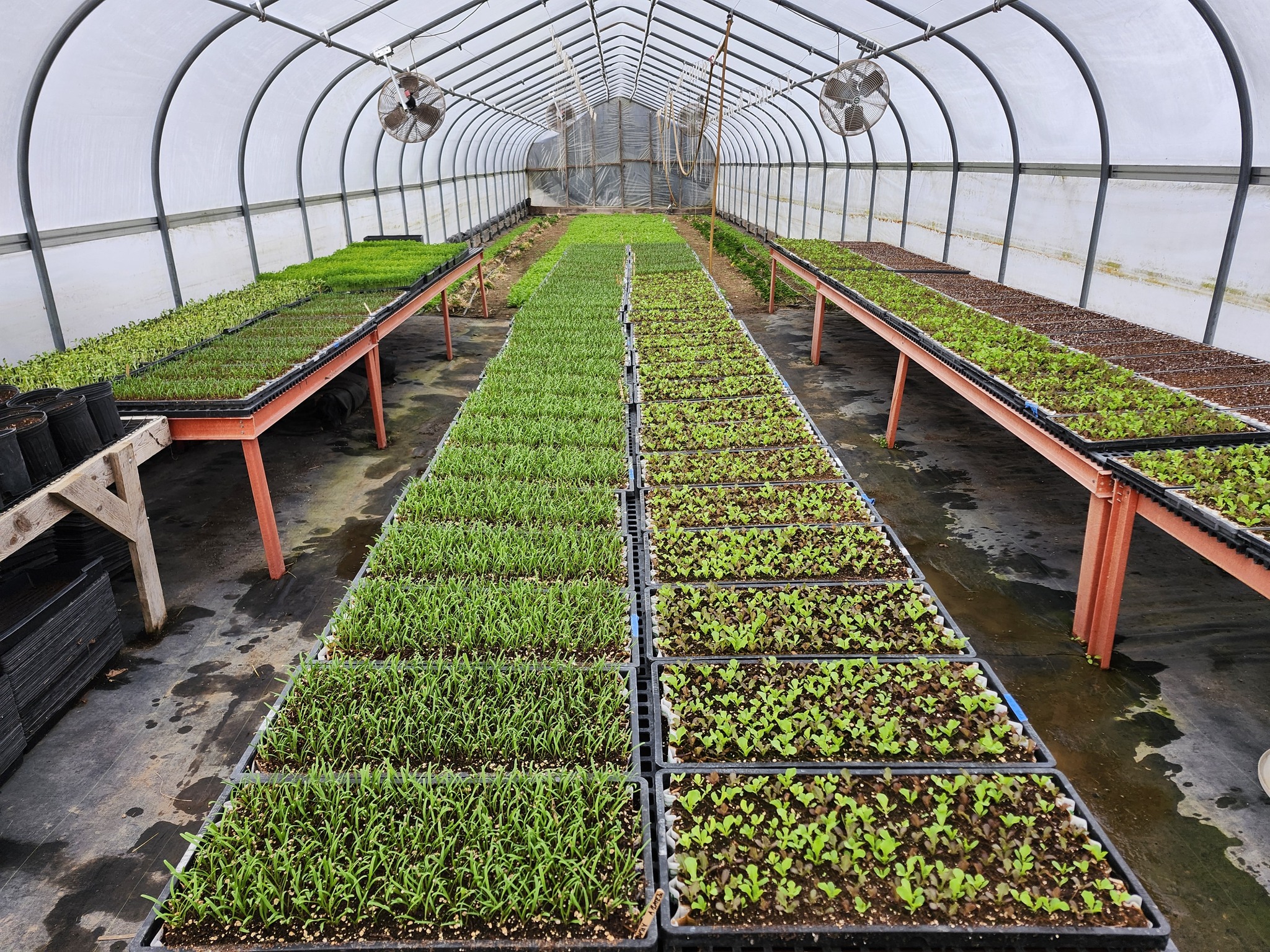Strong Roots Organic Farm | Woodward PA