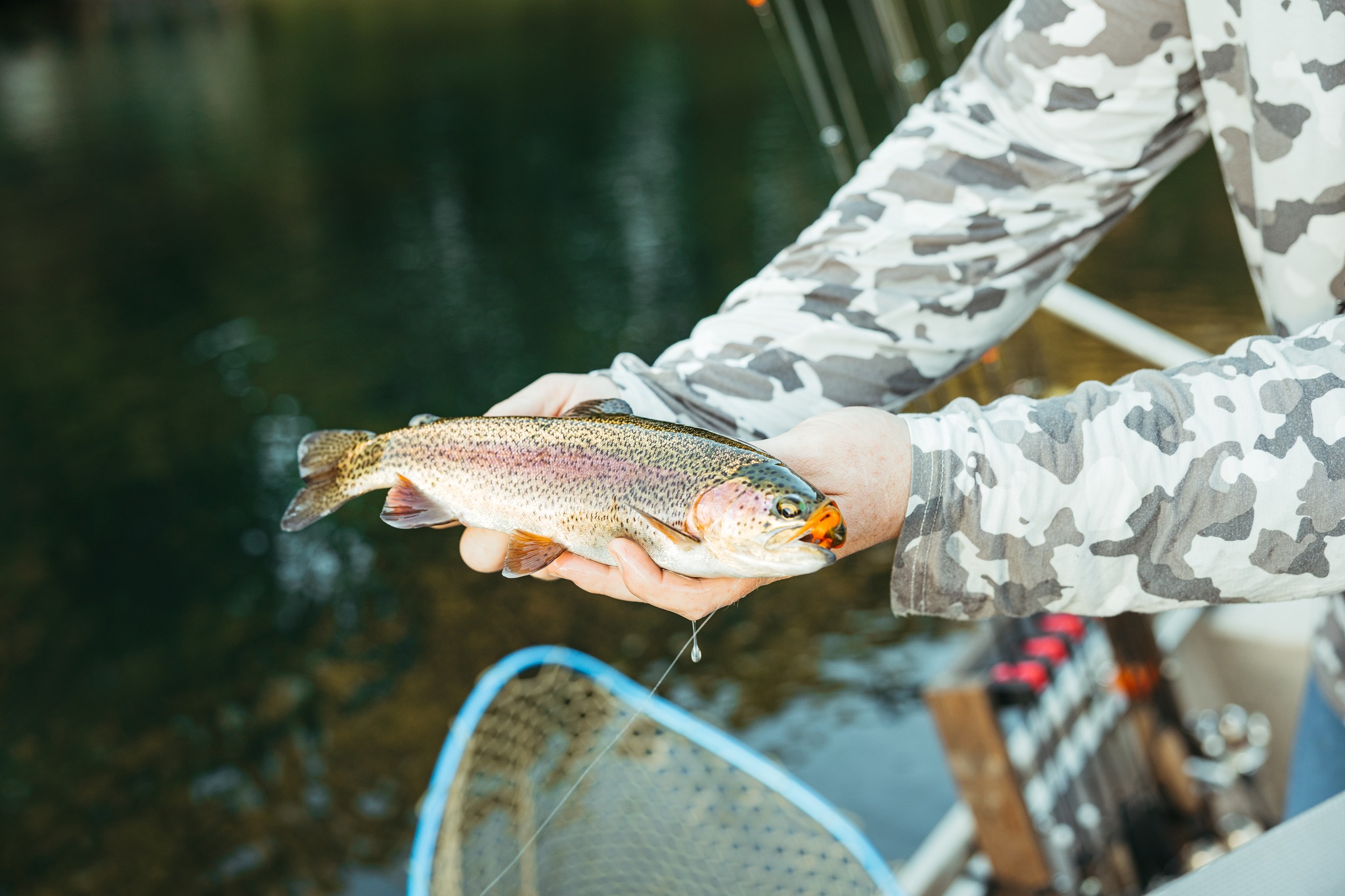 maxi-cosi türkiye Oxford Çift Yönlü Seyahat Sistem Olabilen Bebek Arabası Twil – Maxi-Cosi Skip Hop Stroll & 12MKC039-NL-06.V1 Style:CASTING ROD SWIMBAIT 7'10