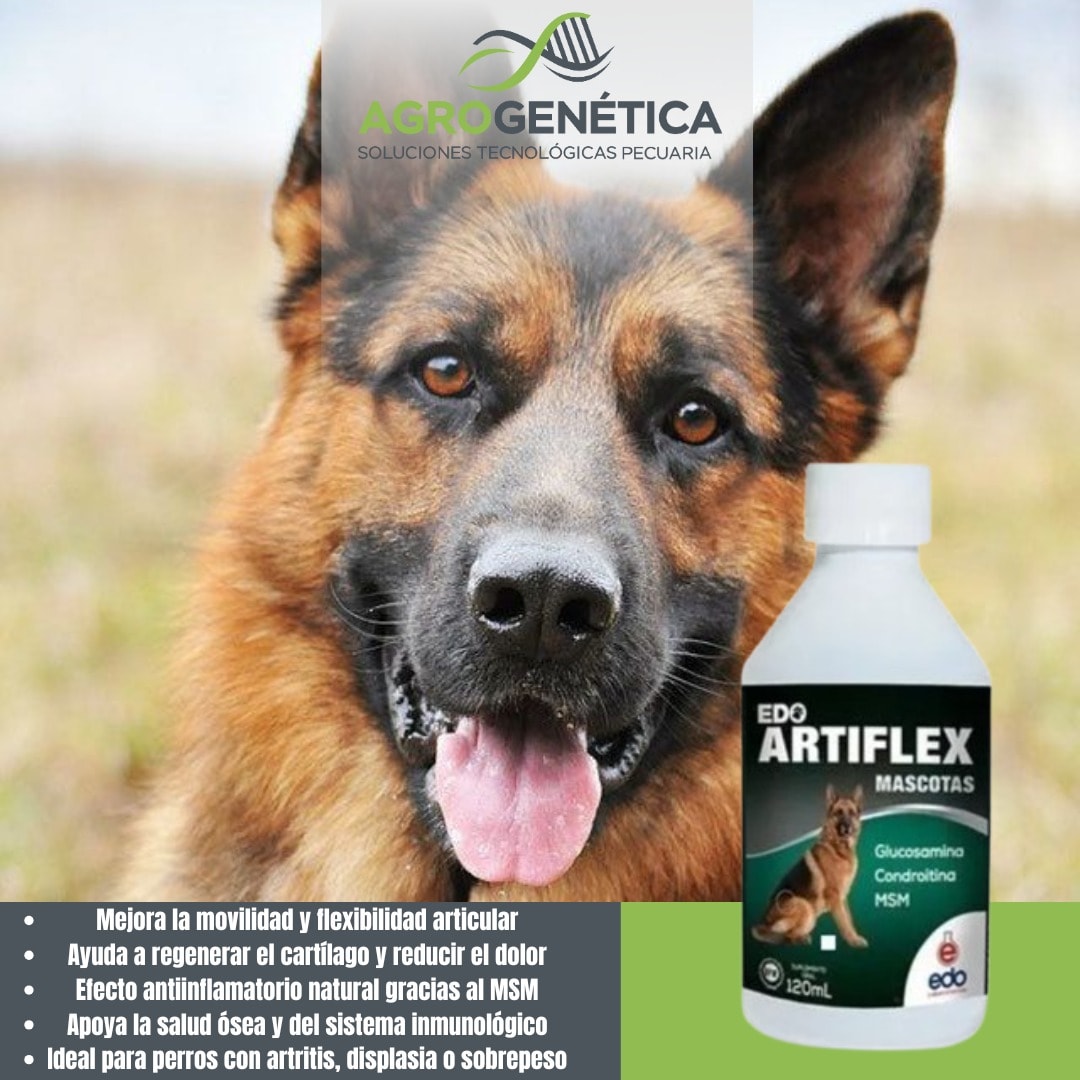 Aazon.co: Glucosaina, Condroitina Y S 120 Tabletas