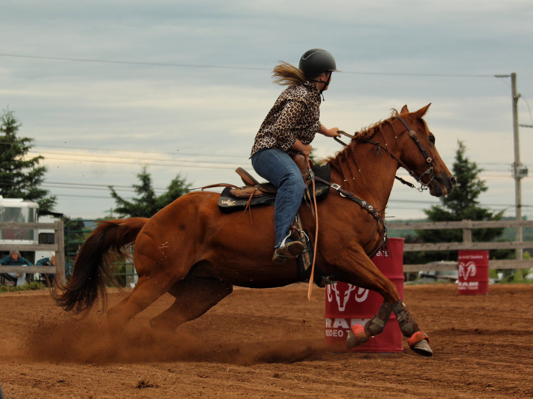 Maritime Barrel Racing Association (MBRA) | Facebook