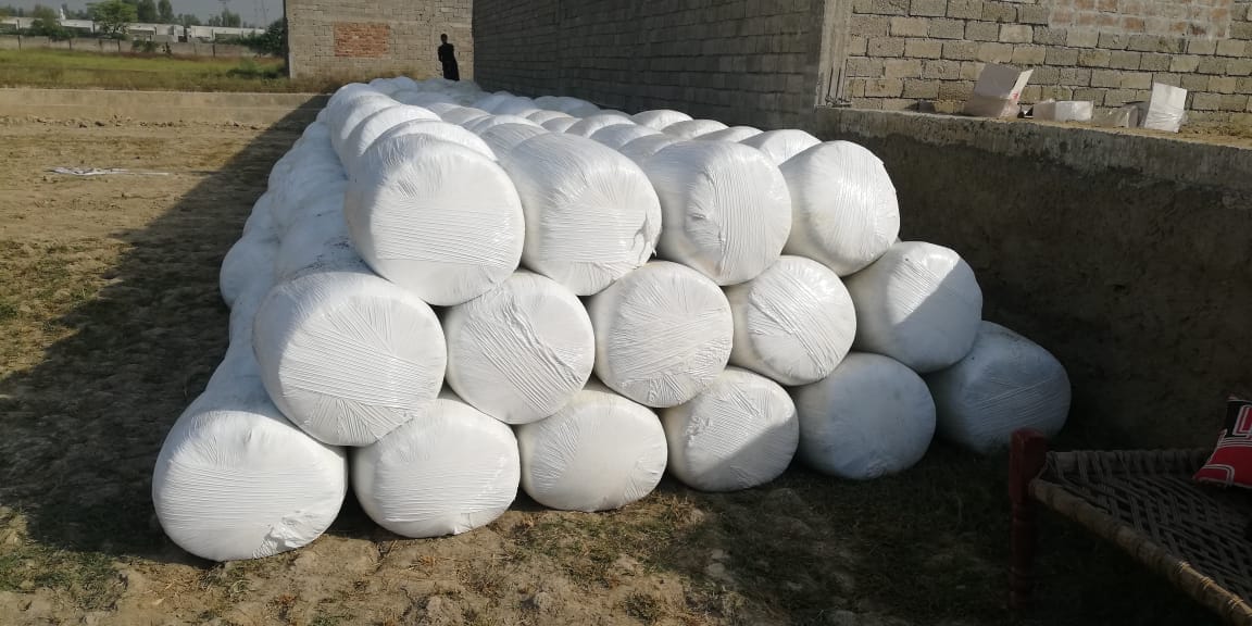 Mian Riaz Gul & Co. Taza Silage