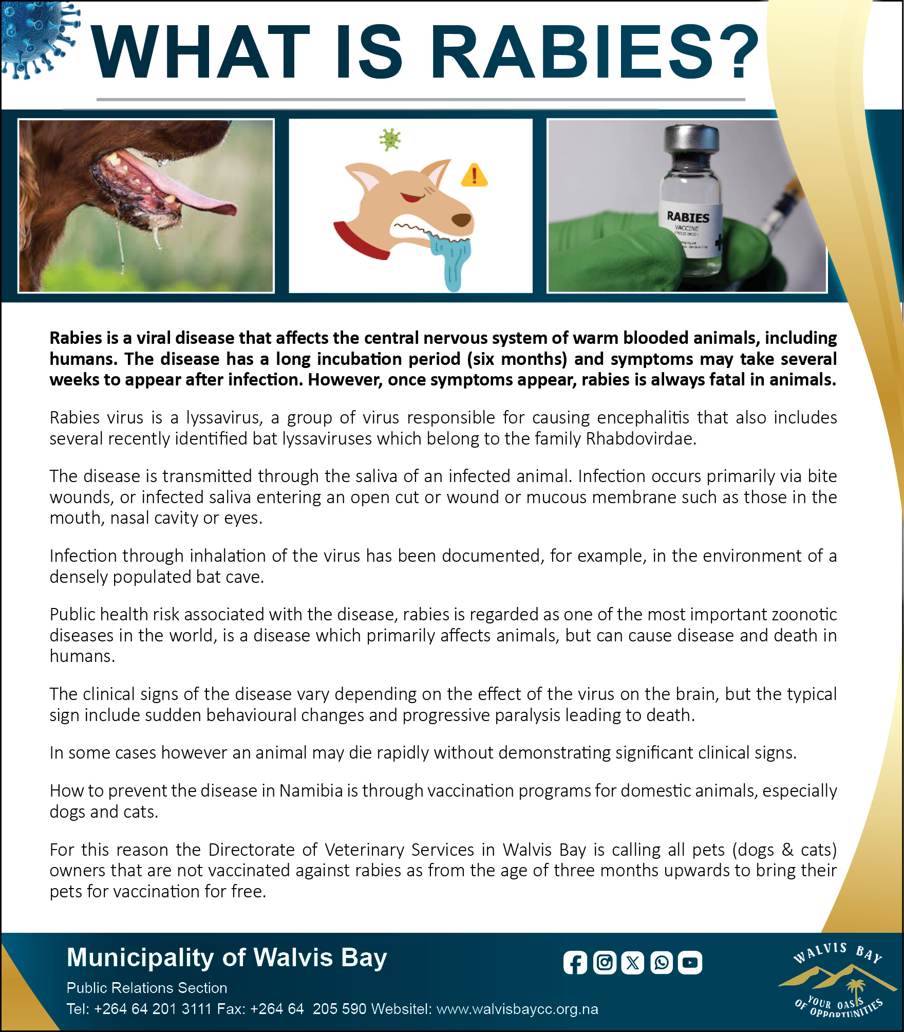 Municipality - ℹ️ WHAT IS RABIES? Learn more about what rabies is, how ...