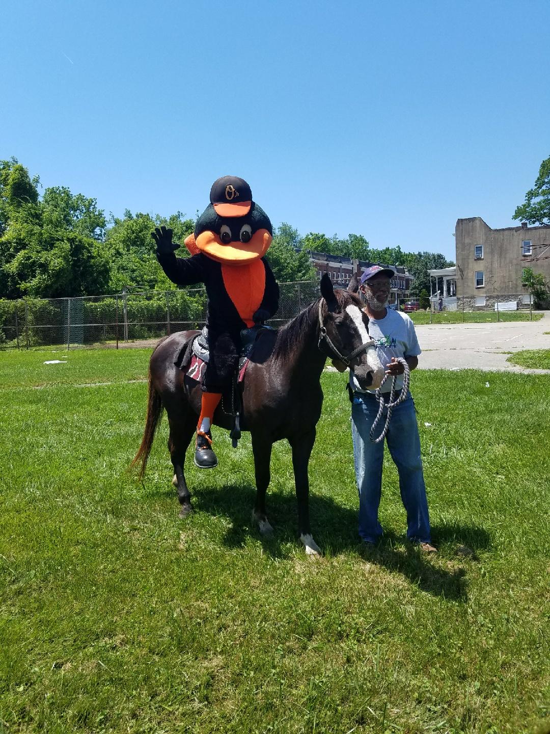 The City - If the Baltimore Oriole can learn to ride then so can you ...