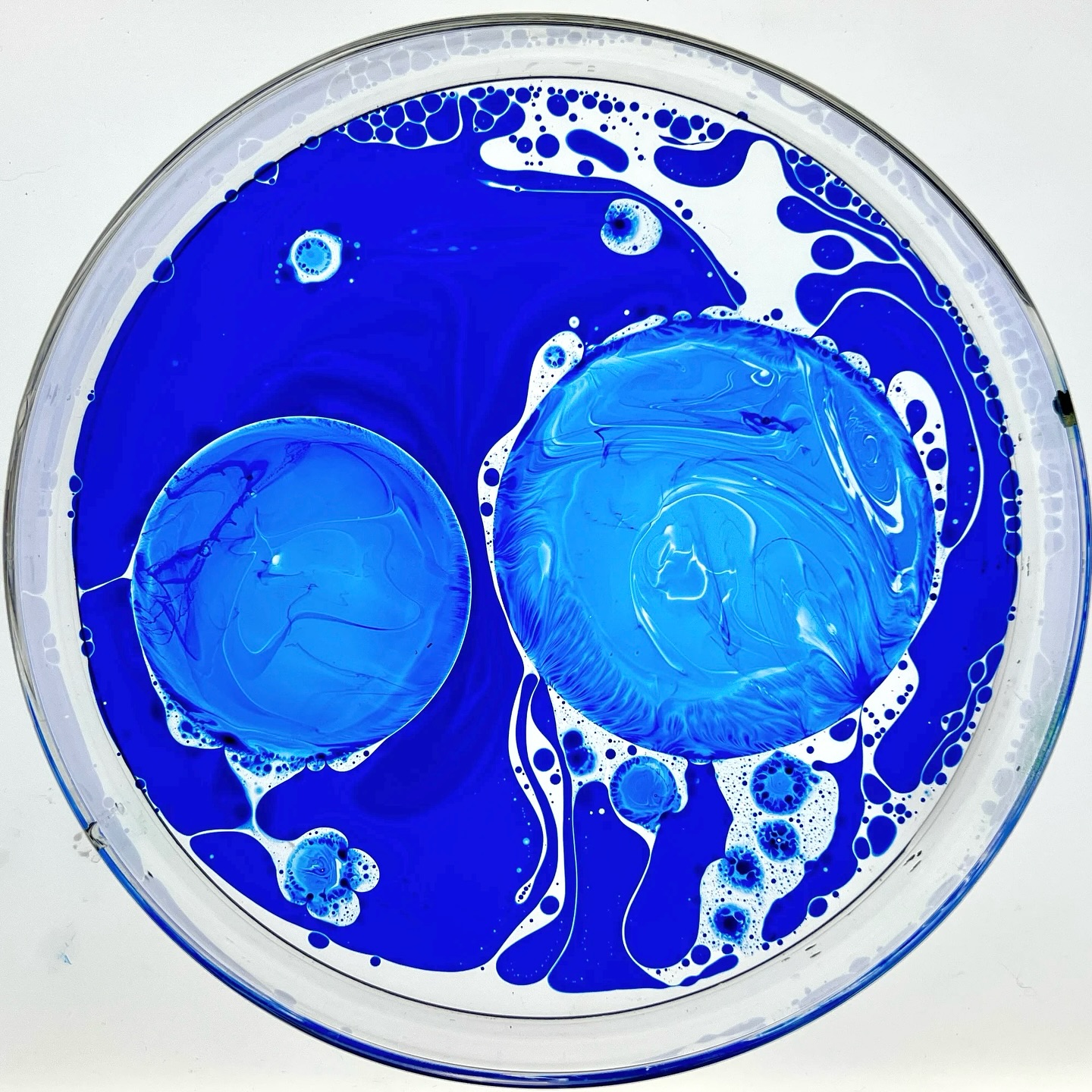 Liquid Light Lab