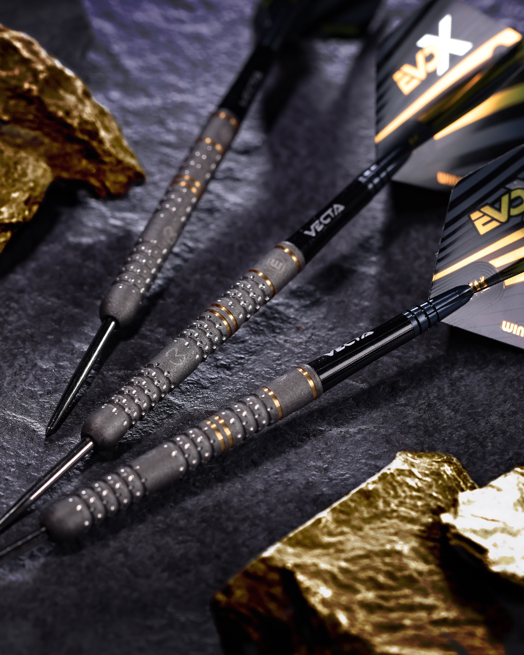 The EvoX is here! 🔥 the exact dart used by Michael van Gerwen