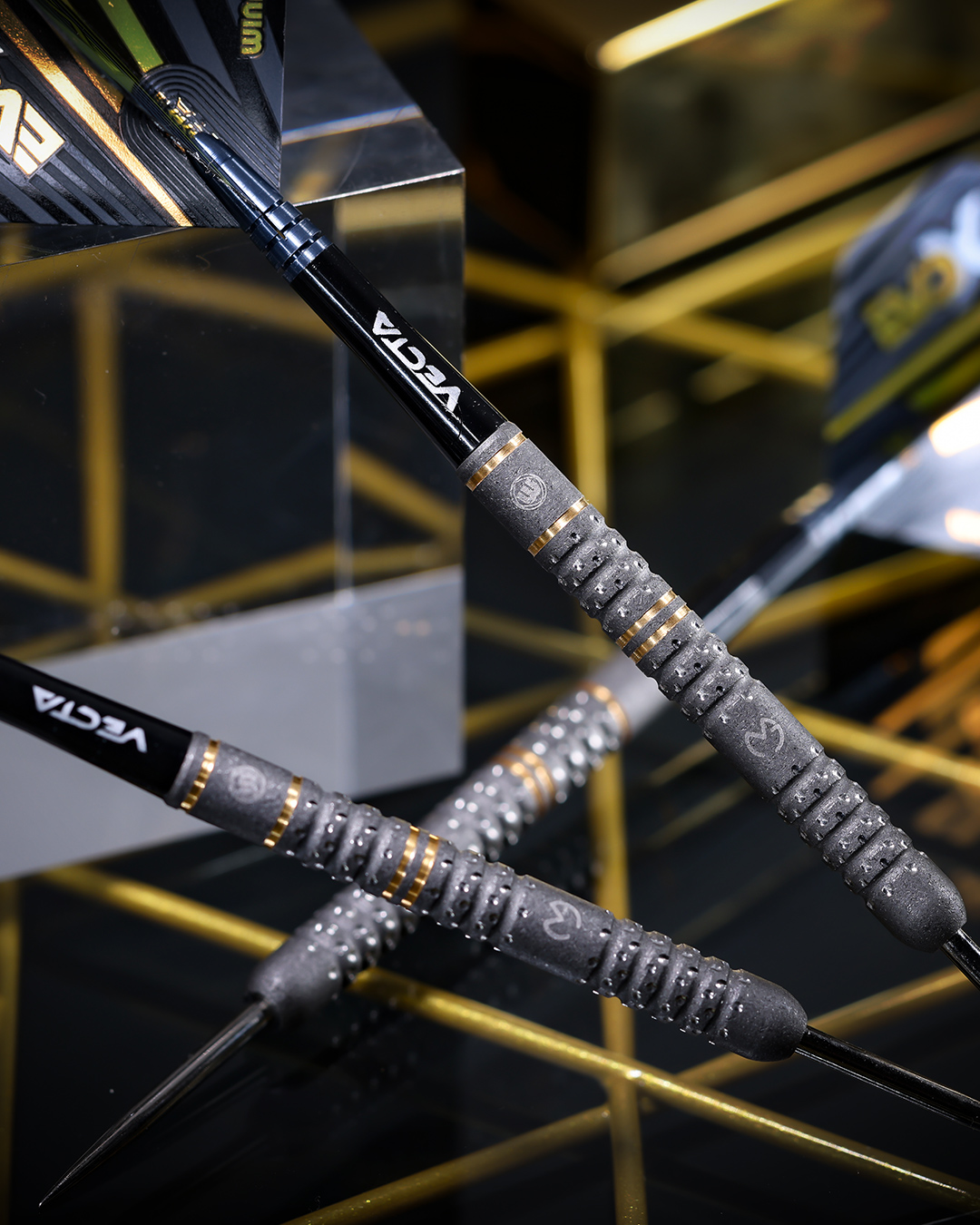 The EvoX is here! 🔥 the exact dart used by Michael van Gerwen