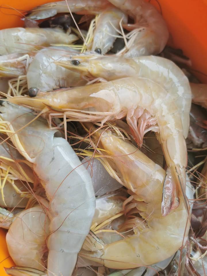 Patcha Fresh Seafood added a new photo. - Patcha Fresh Seafood