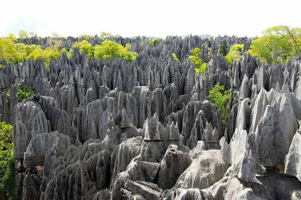 Geology of the world and the Environment - BEST #NOTE ABOUT METAMORPHIC ...