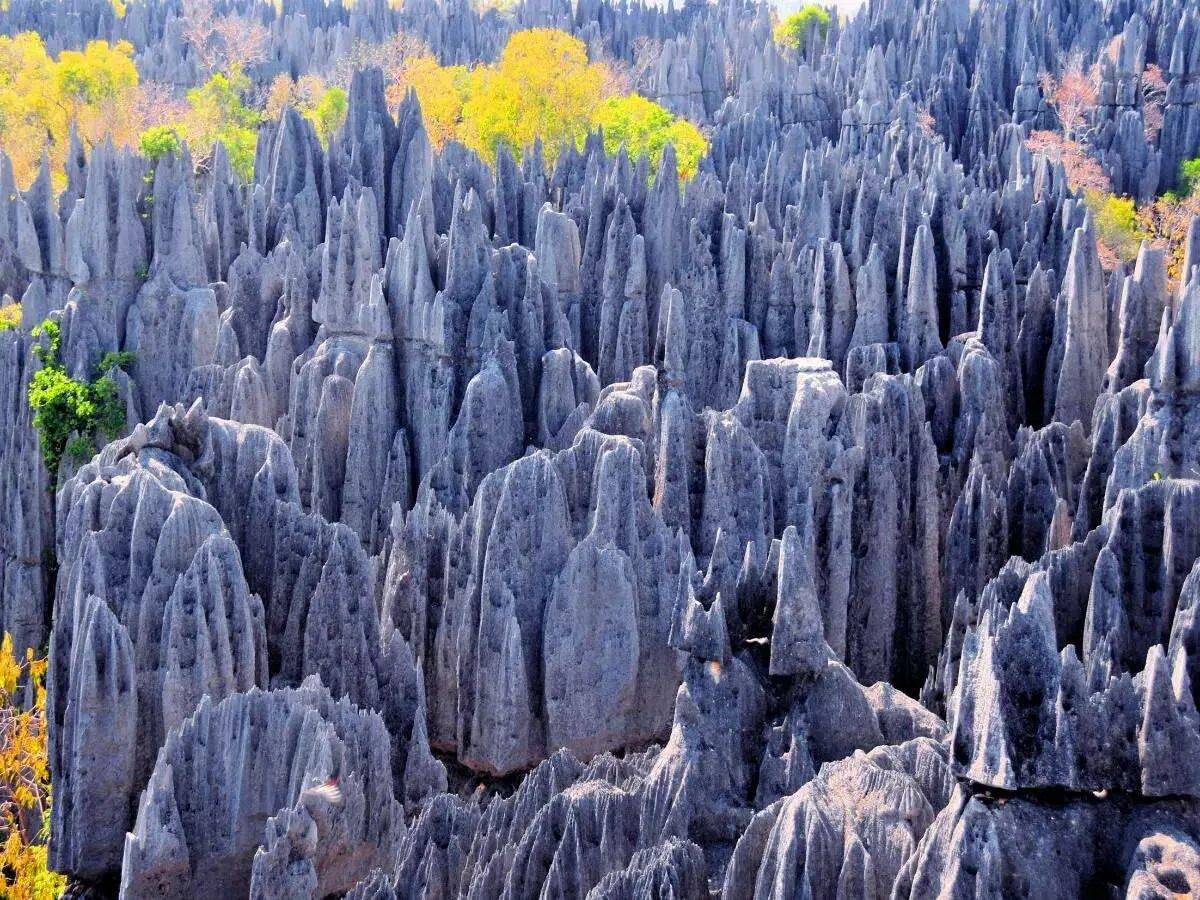 Geology of the world and the Environment - BEST #NOTE ABOUT METAMORPHIC ...