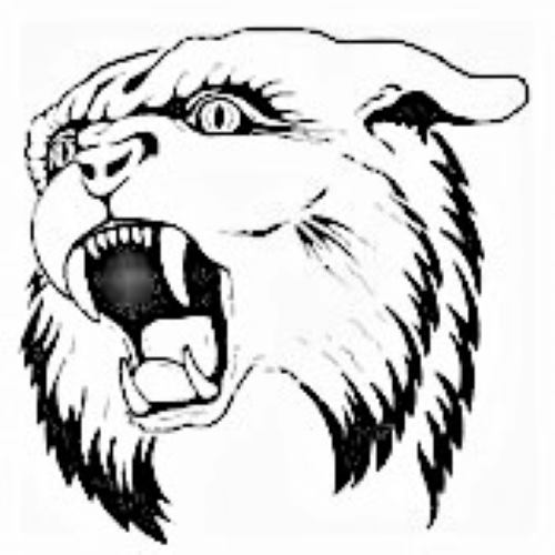 Wampus Cat on Reels