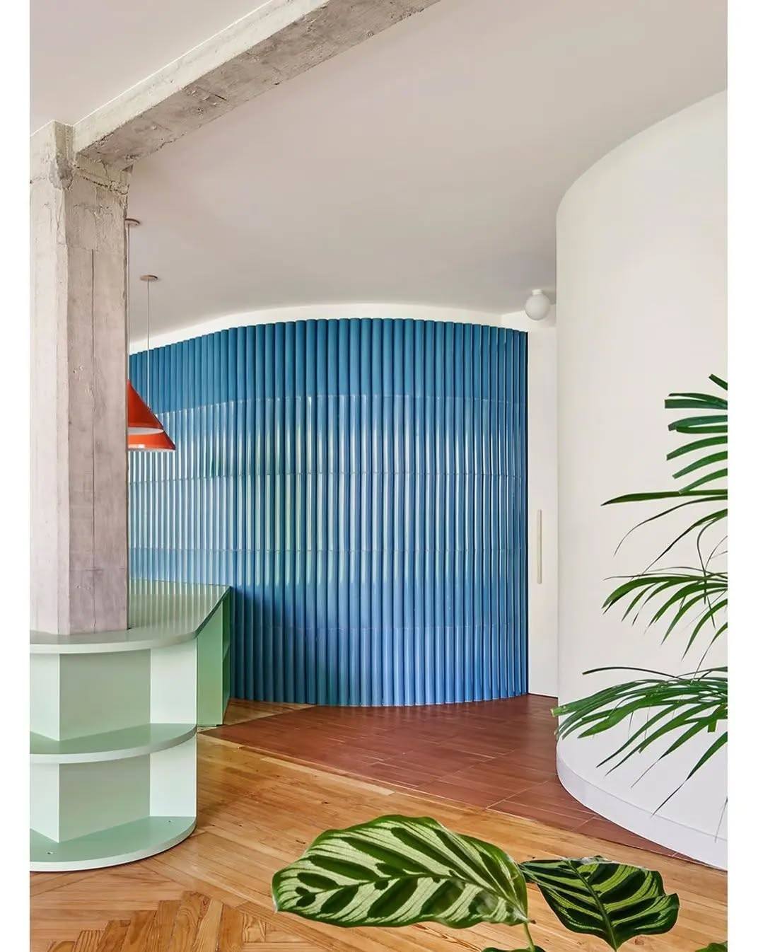 Carol Interior Designer