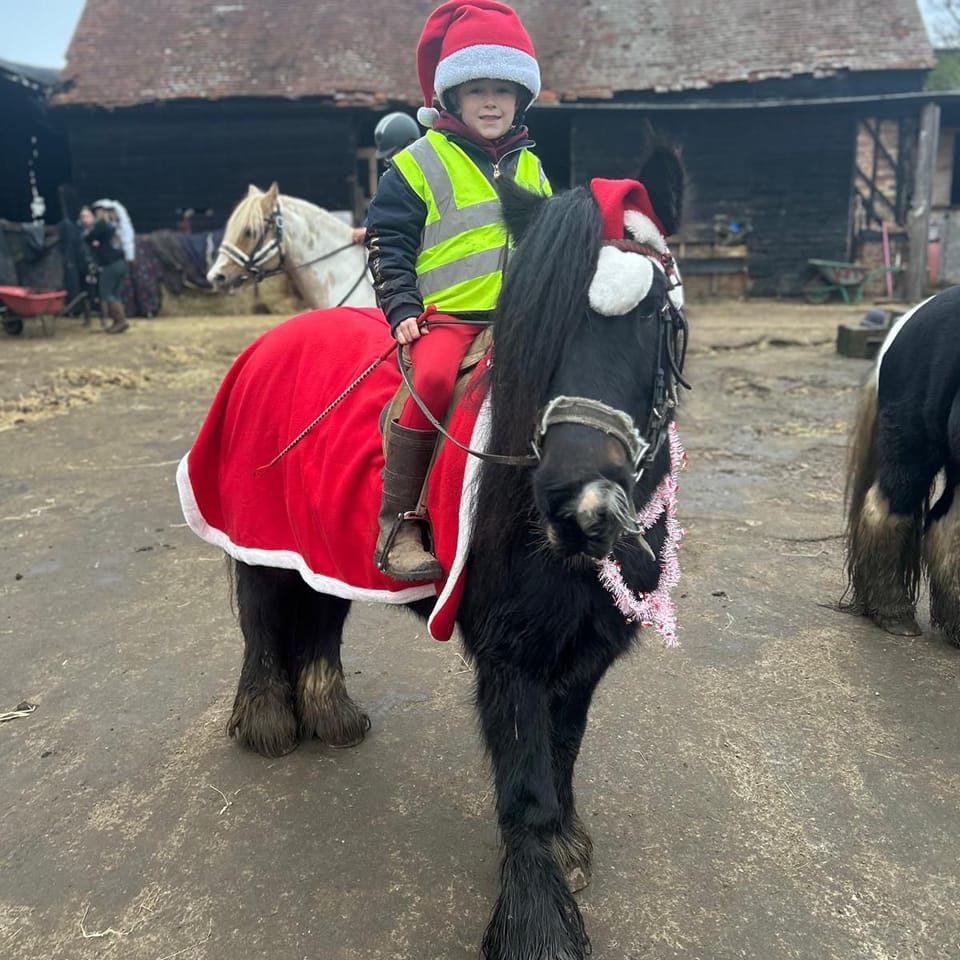 The Little Ranch Riding Centre | Flitwick