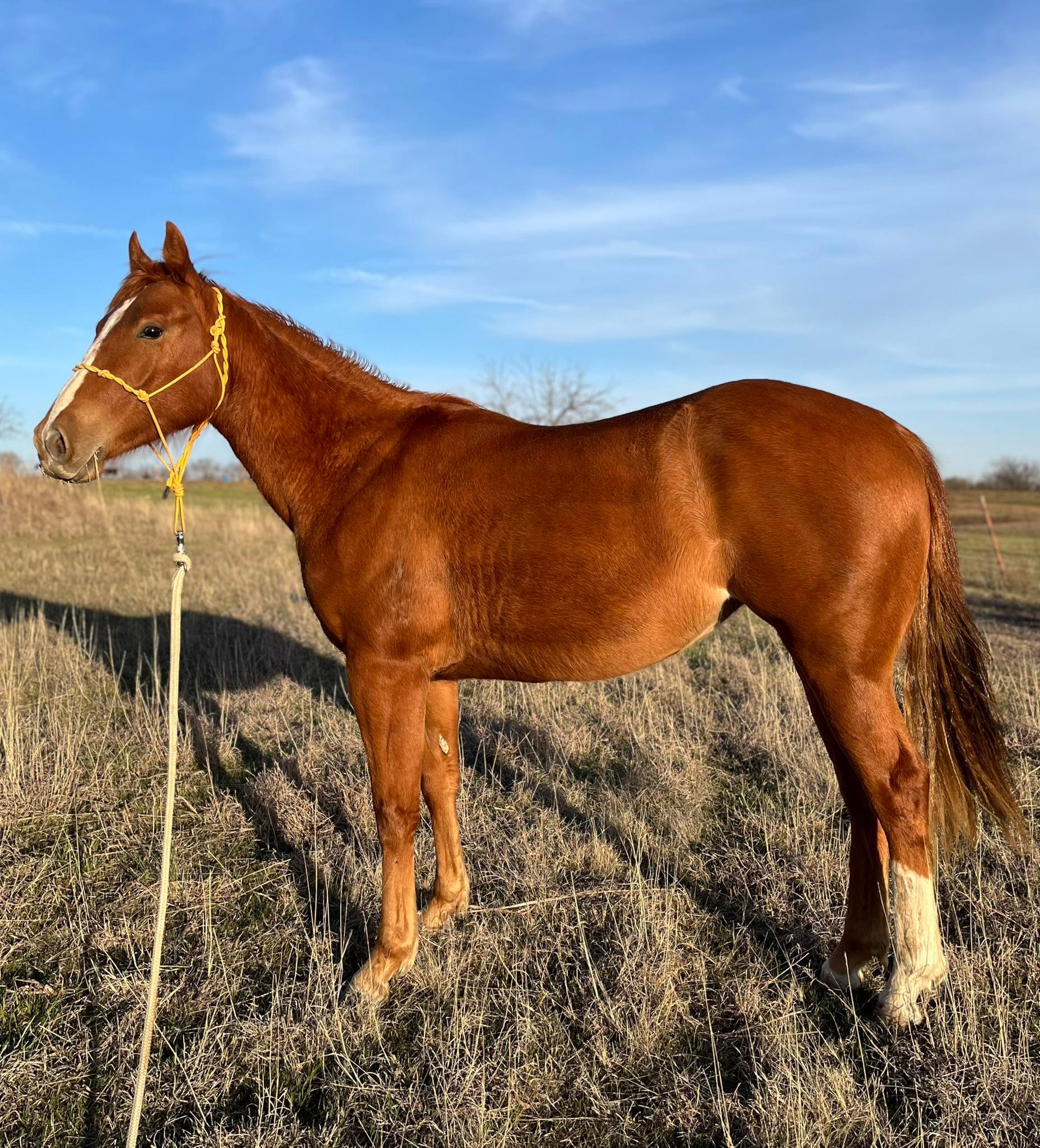 Rockin’ 4W Ranch | Roff OK