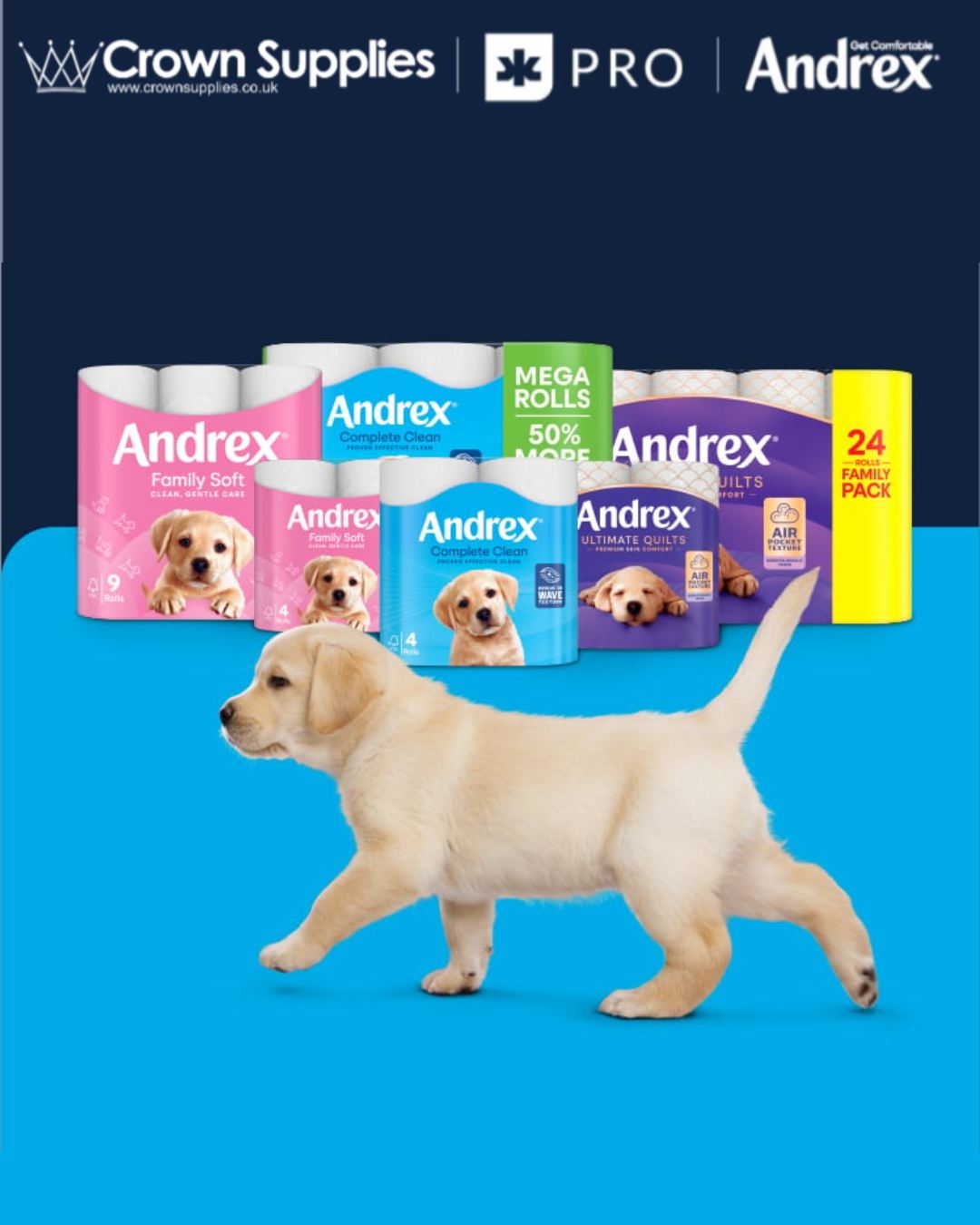 Crown Supplies - 🐶 It’s official Andrex has joined the... | Facebook