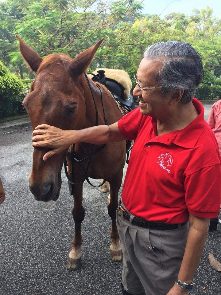 Saya Sayang Tun Dr Mahathir Mohamad Pagi Tadi Tun M Bersama Kuda Kesayangan Nya Facebook