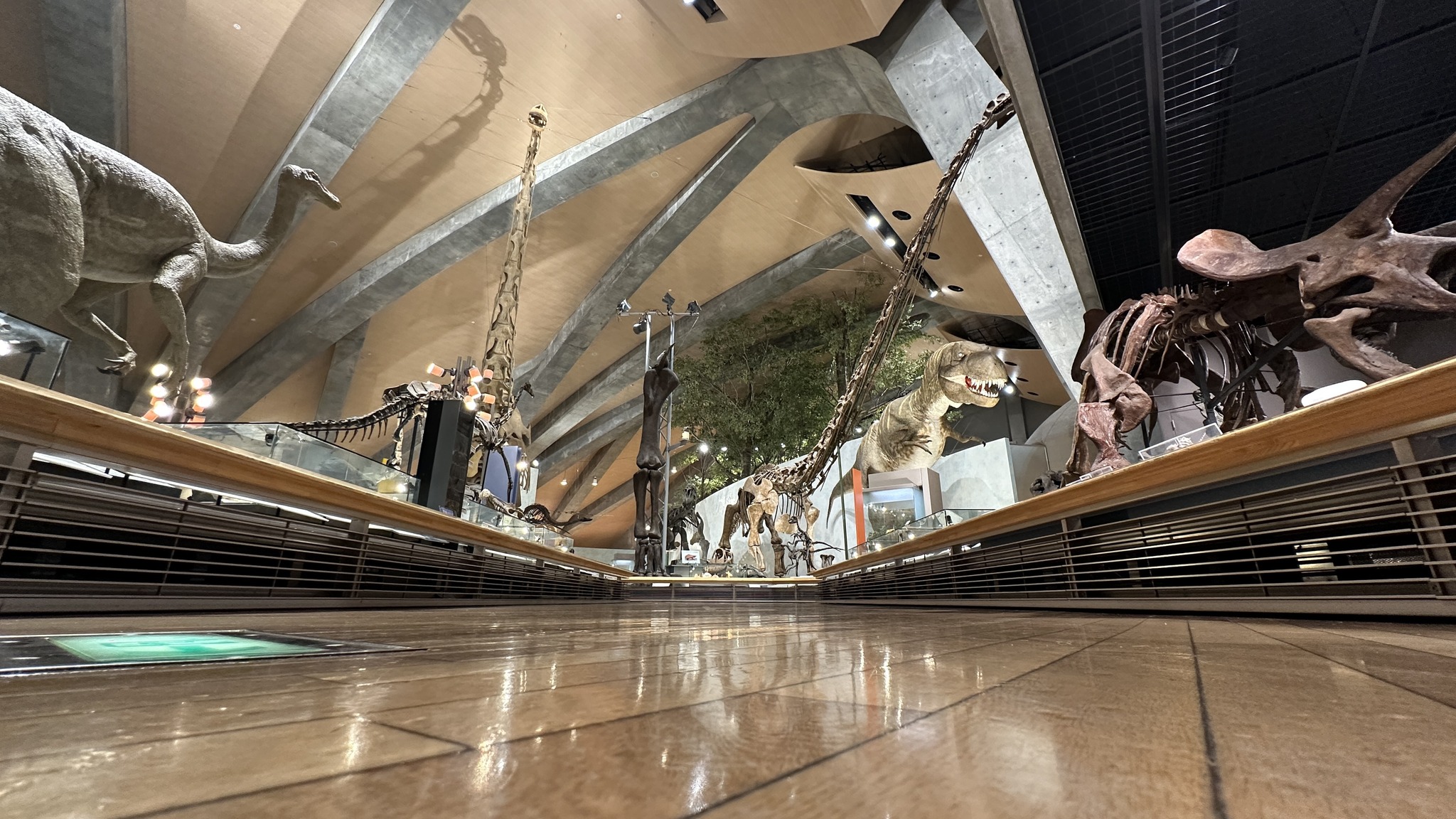 群馬県立自然史博物館