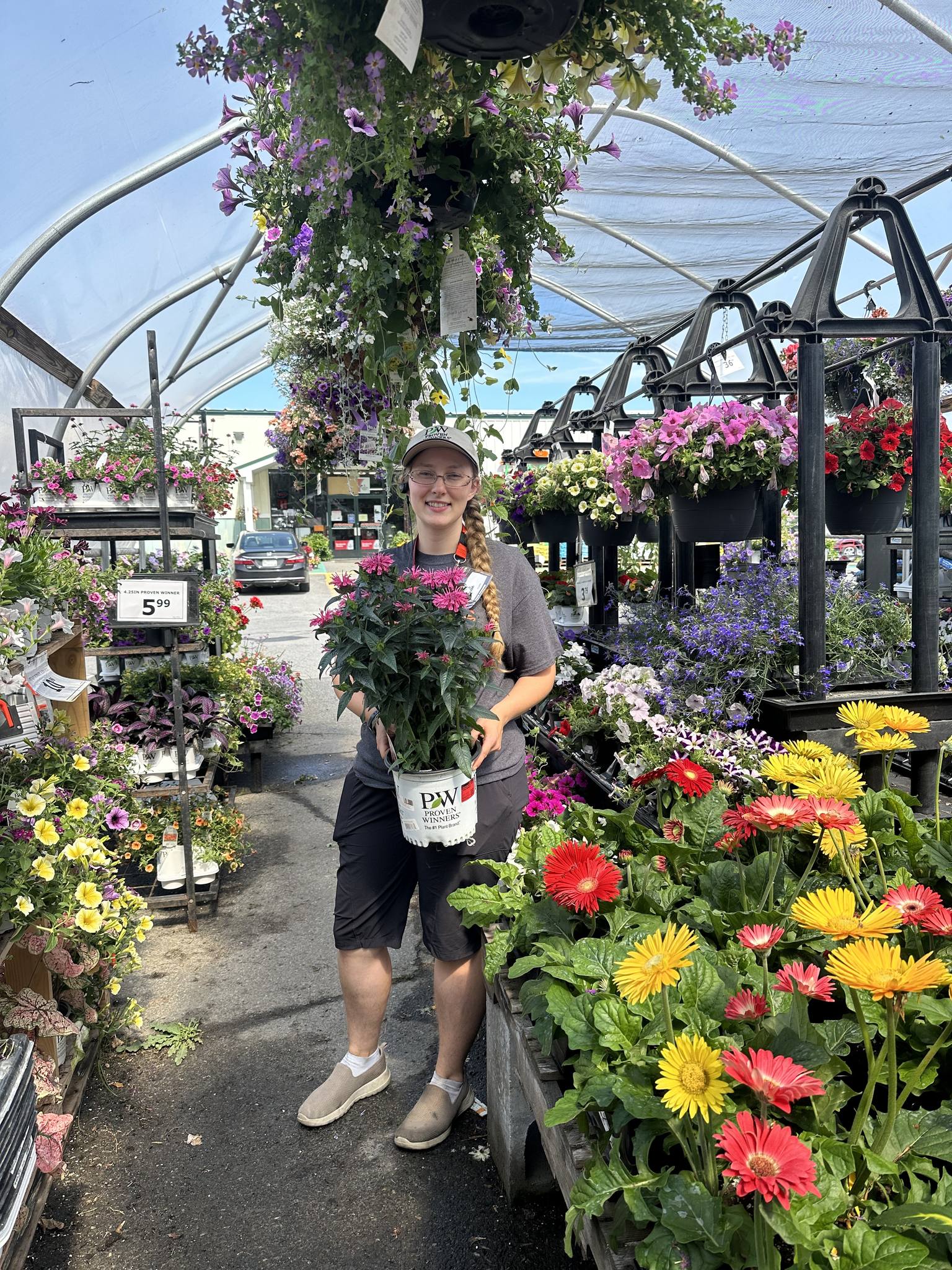 We have a great selection of annuals... - Aubuchon Hardware | Facebook