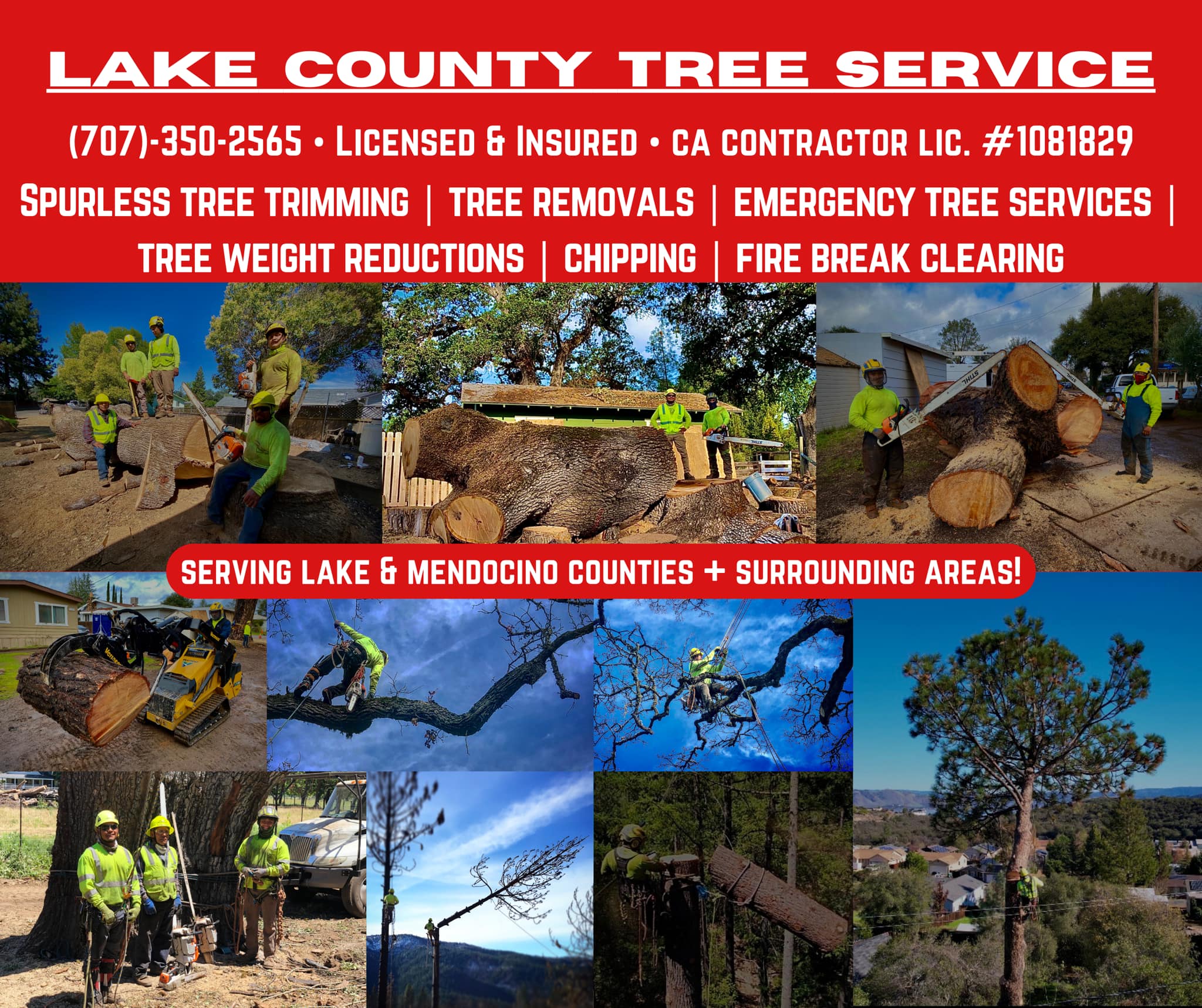 Lake County Tree Service | Finley CA