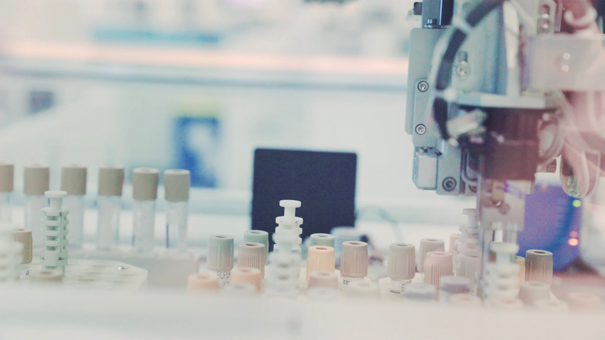 Rhein Lab