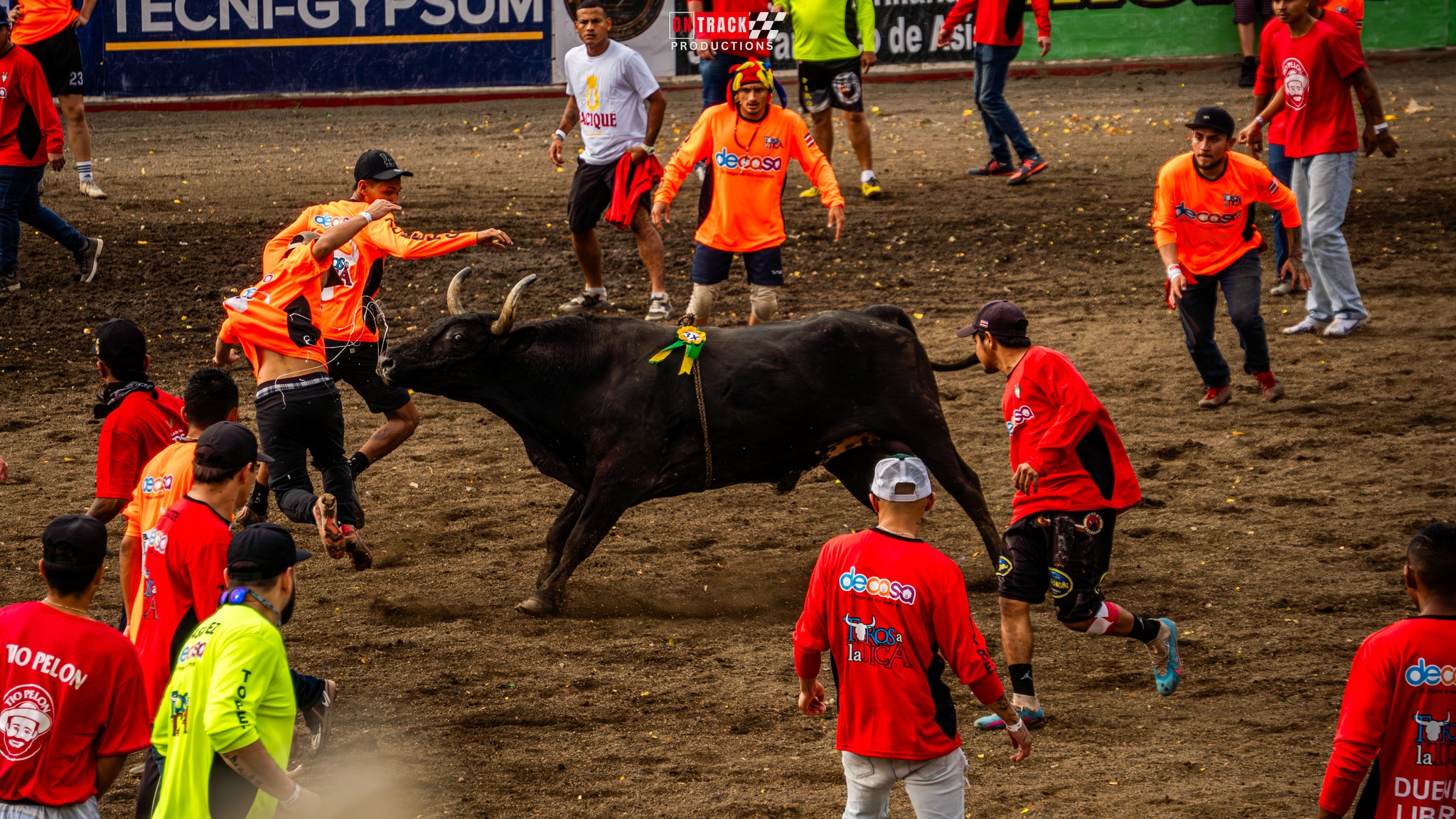 Toros a la Tica - Costa Rica