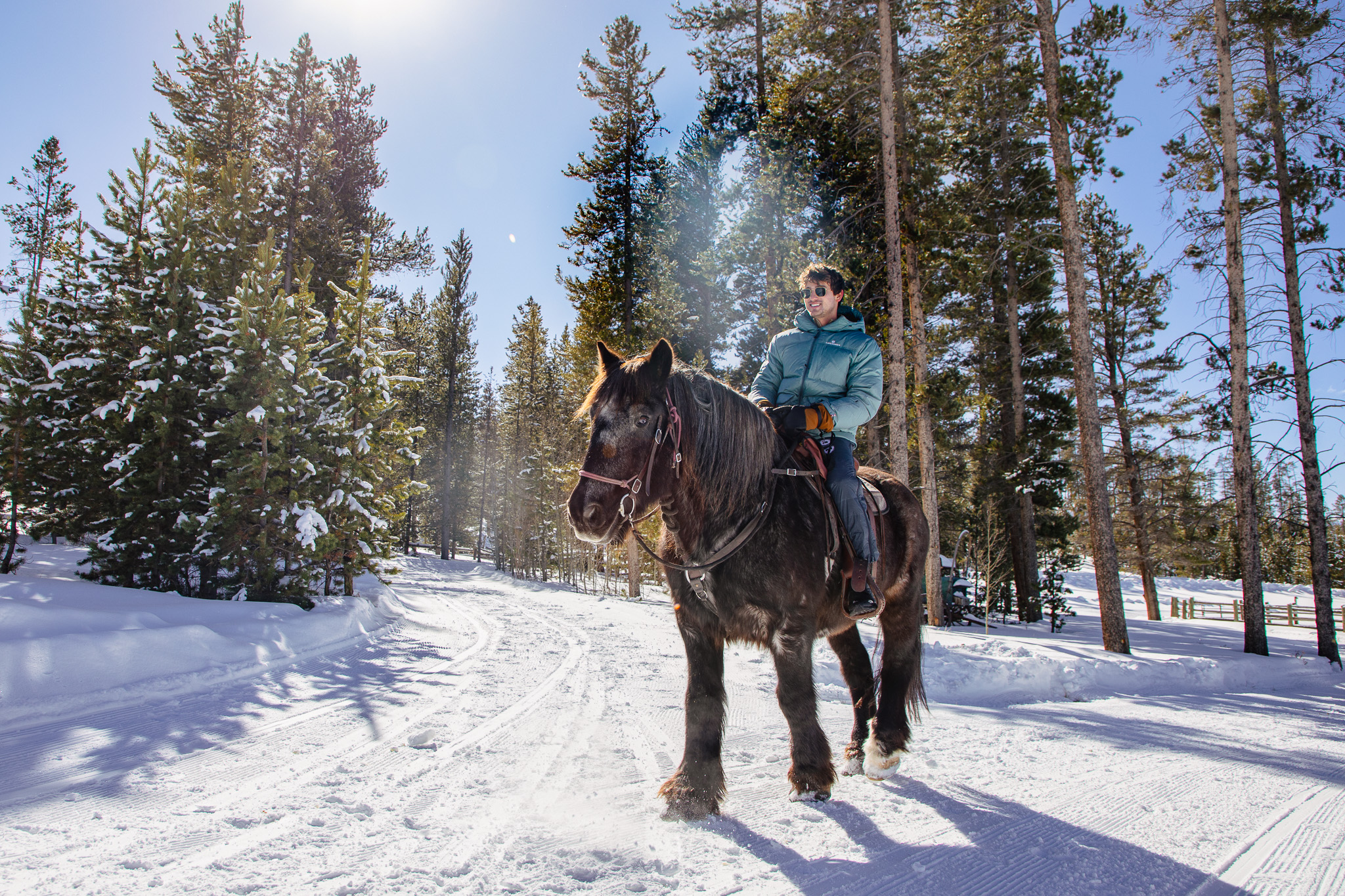 Devil's - It's time to celebrate February's Hoof of the Month winner ...