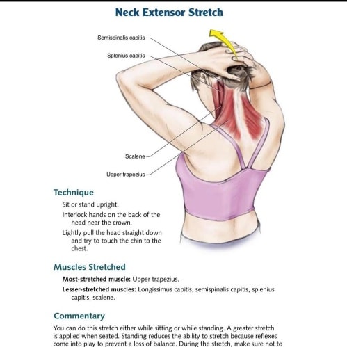 Dr. Anousha Naeem - PT - #physiotherapyroleinstress #stressmanagement # ...