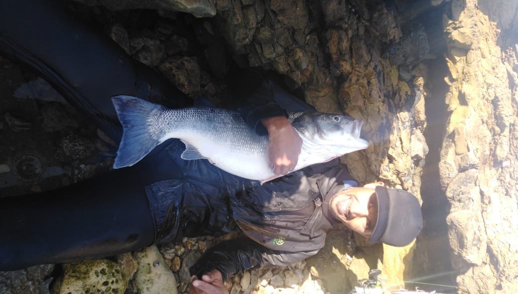 Aziz Fishing