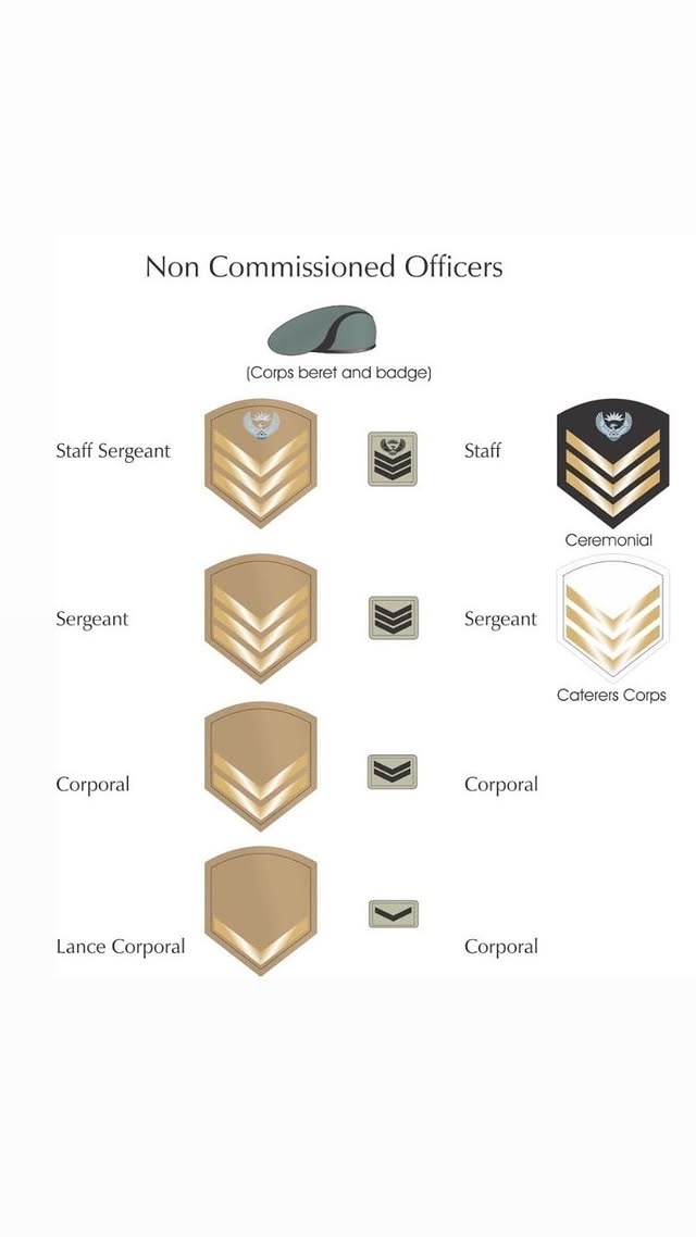 The South African National... - SA National Defence Force | Facebook