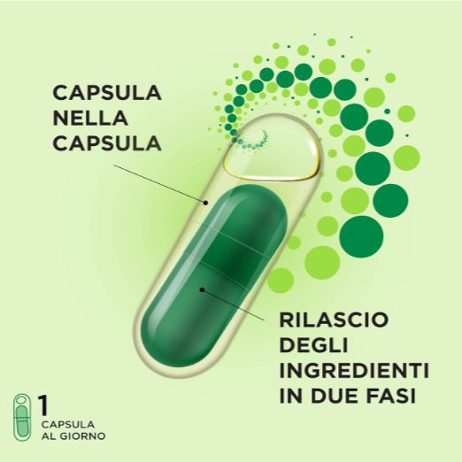 ProCombo: probiotico + prebiotico