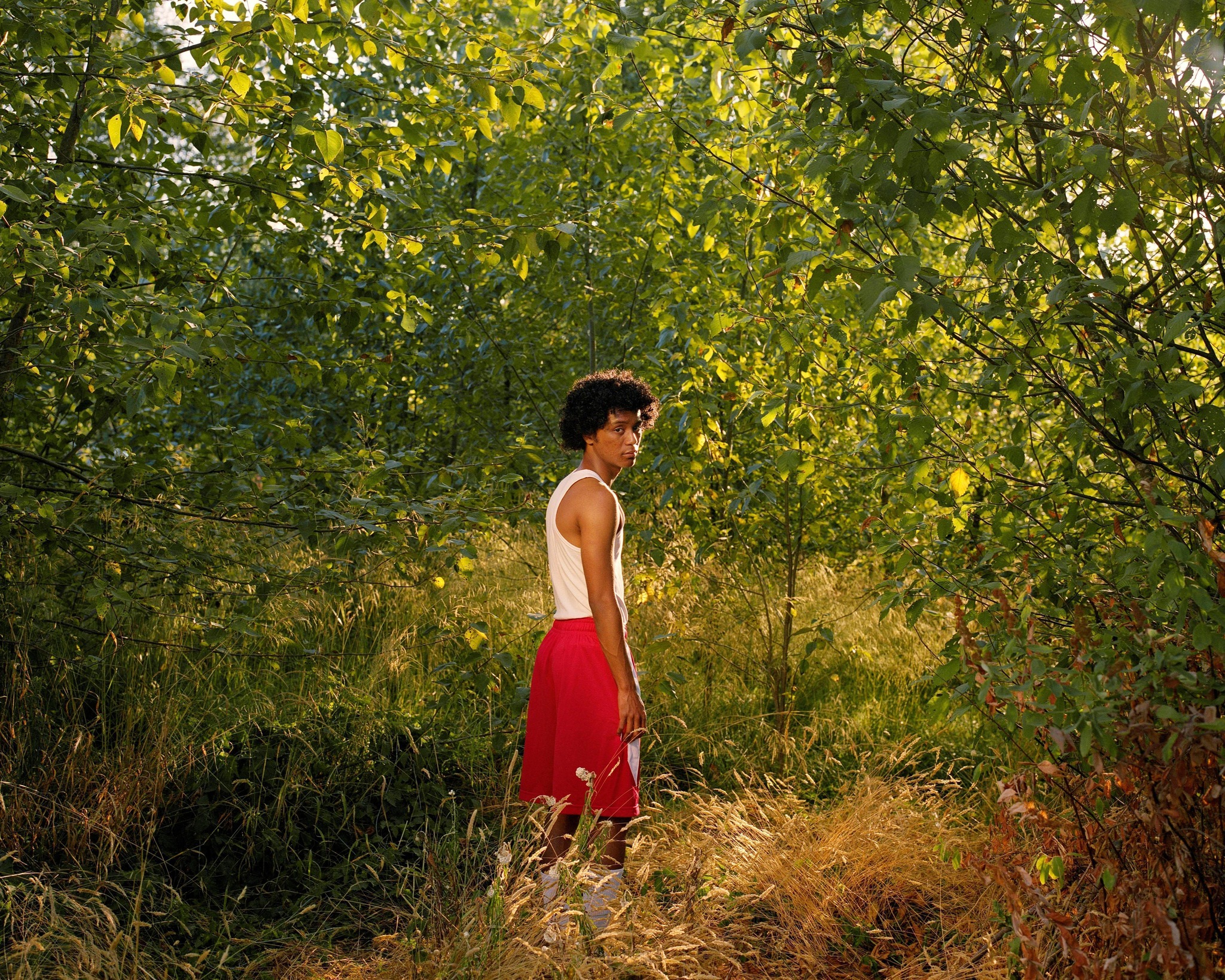 Salt Spring National Art Prize - Join The Victoria Arts Council's ...