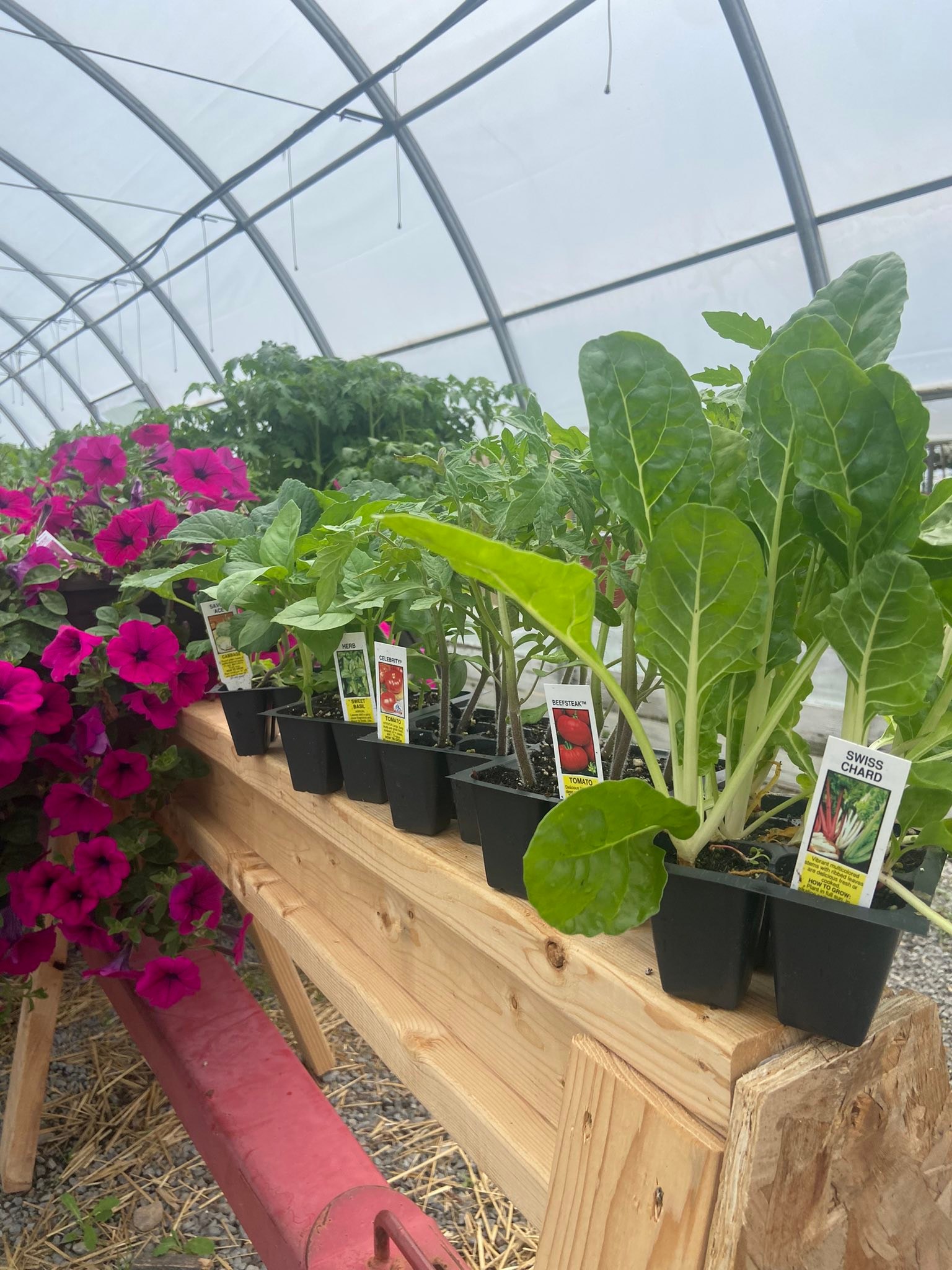 Vollmer Farms | East Syracuse NY