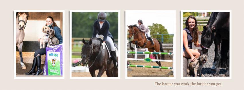 Acton Hall Equestrian... - Acton Hall Equestrian Centre