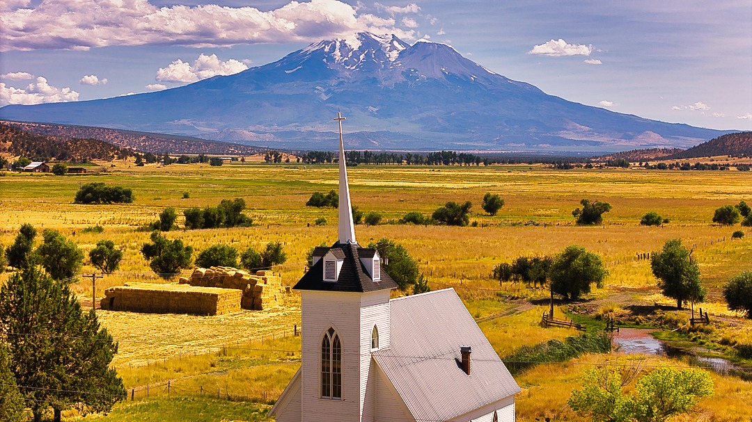 Scott Valley News - Ranch: Black Bear Ranch, located in the foothills ...