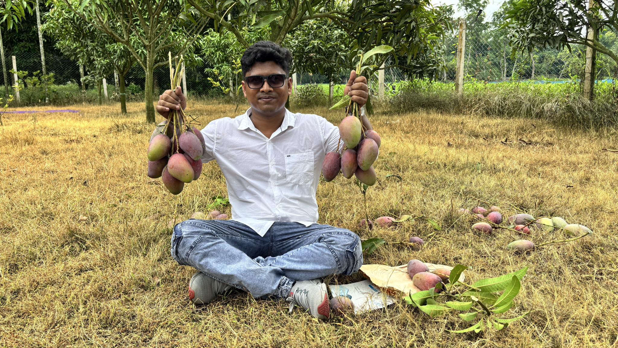 Horticulture Plant Nursery