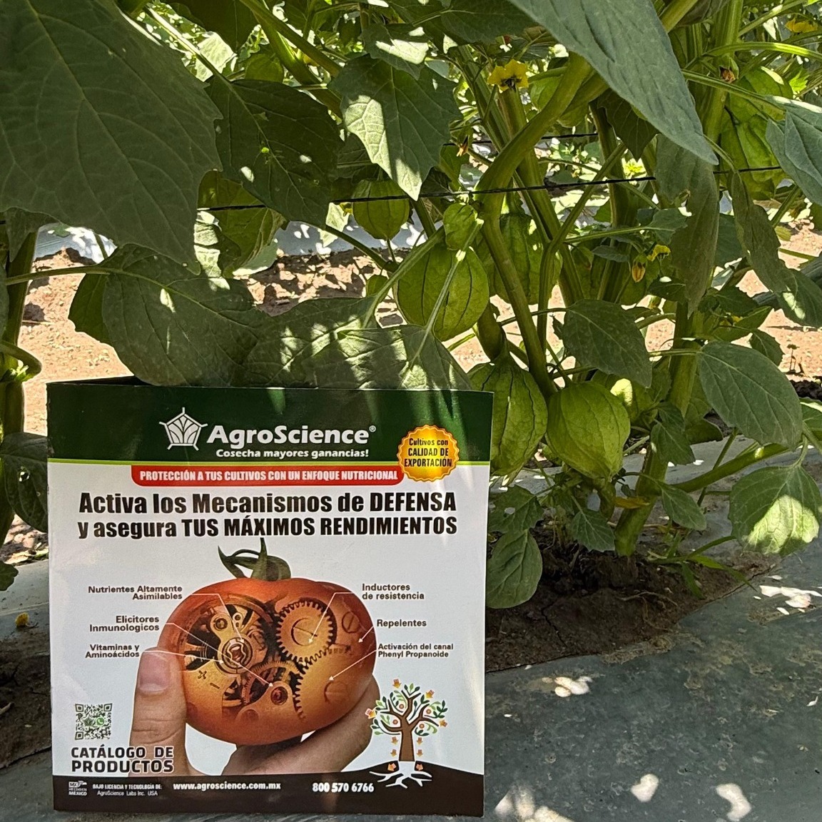 AgroScience - AgroScience added a new photo.