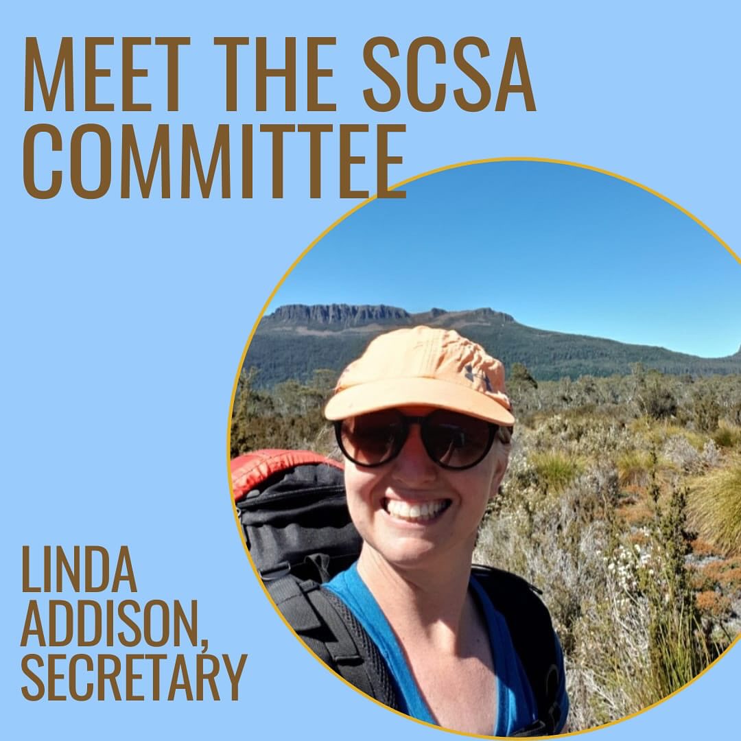 Meet the 2025... - Sport Climbing South Australia - SCSA | Facebook