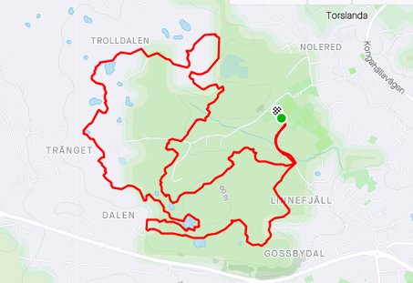 Torslanda löpargrupp