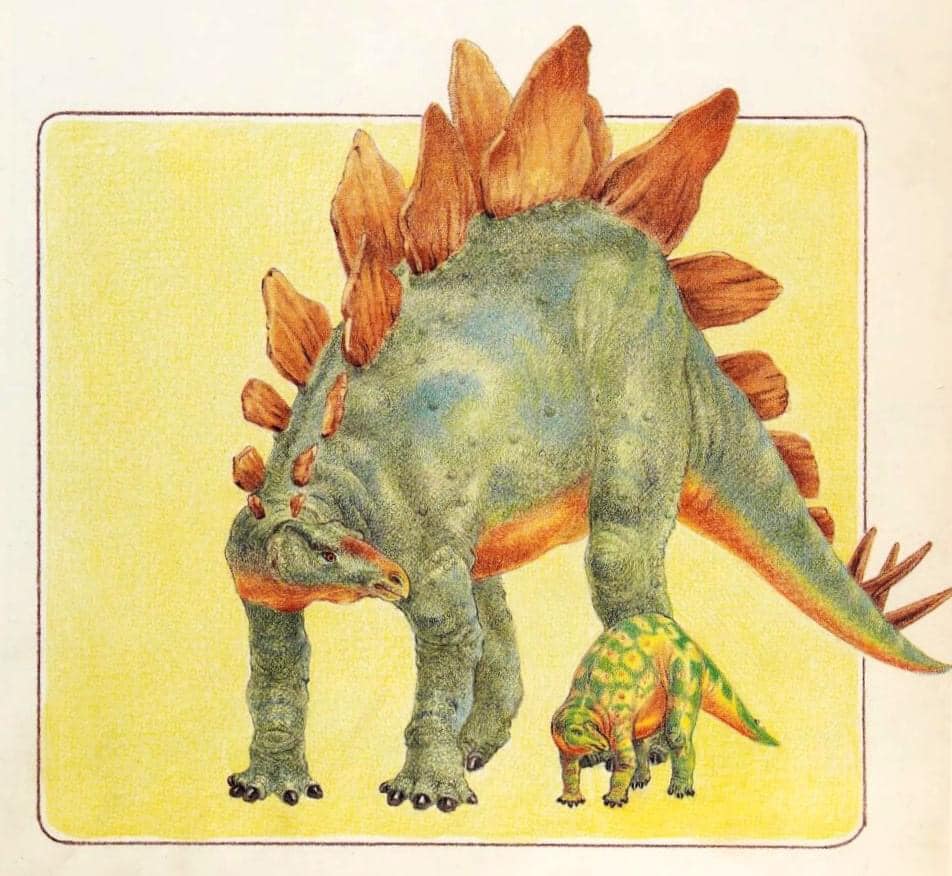 Baby Stegosaurus 🍀 (Mattel)